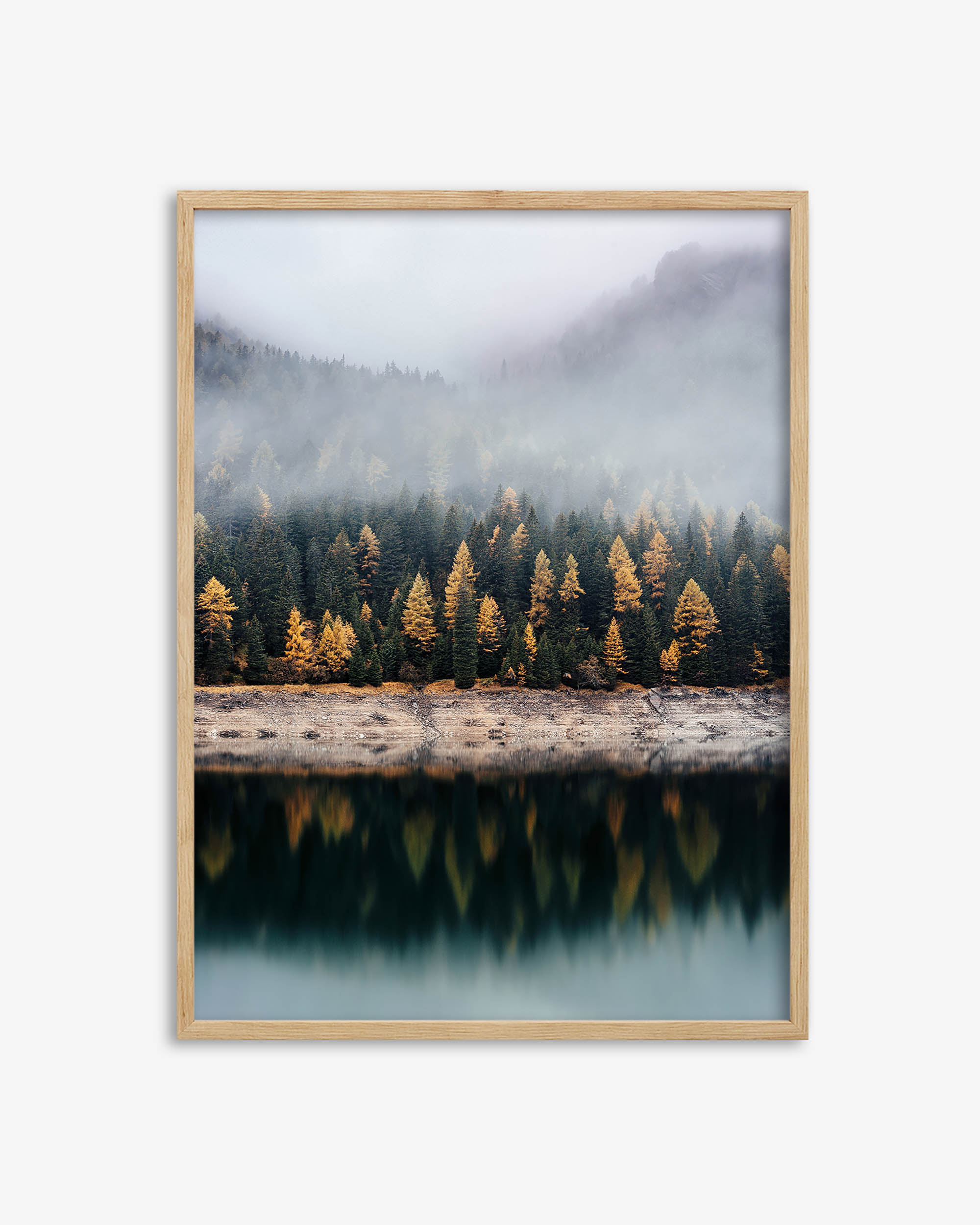 Pinecone Forest Wall Art Print