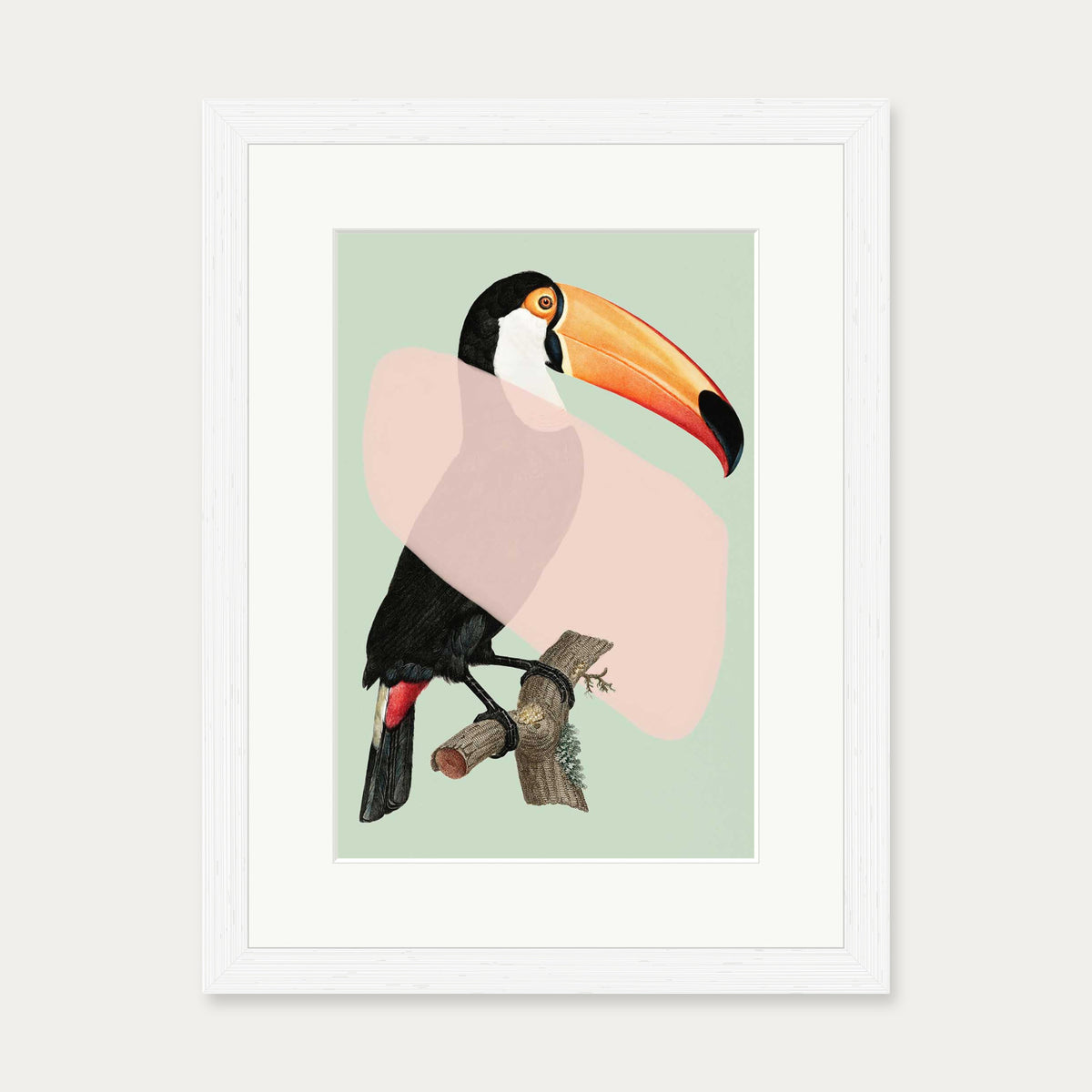 Mint Toucan In Blush Pop Art Print — 30 x 40 cm — White Frame