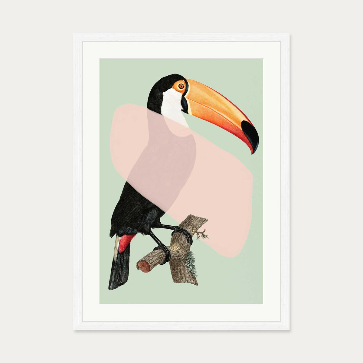 Mint Toucan In Blush Pop Art Print — 50 x 70 cm — White Frame