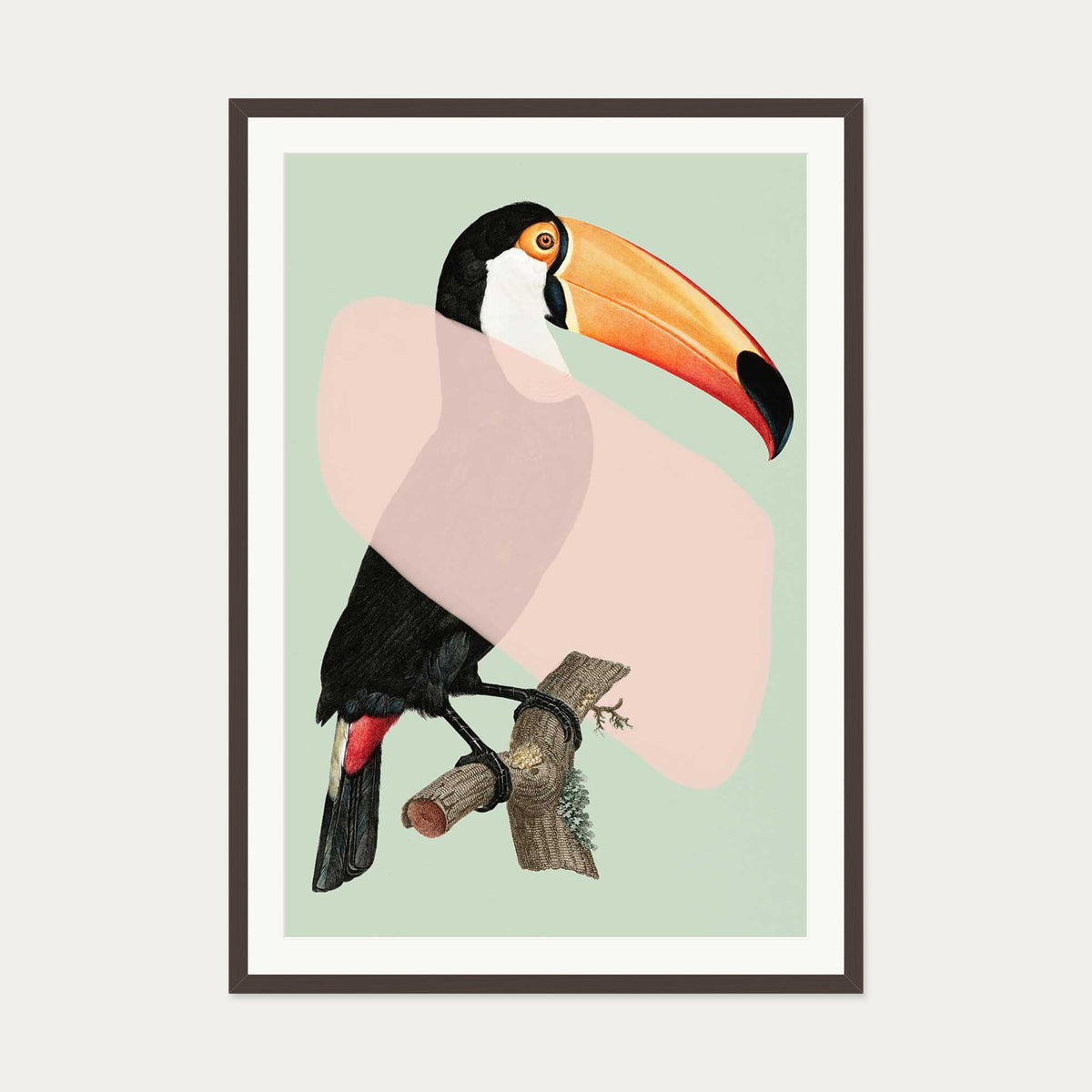Mint Toucan In Blush Pop Art Print — 70 x 100 cm — Brown Frame
