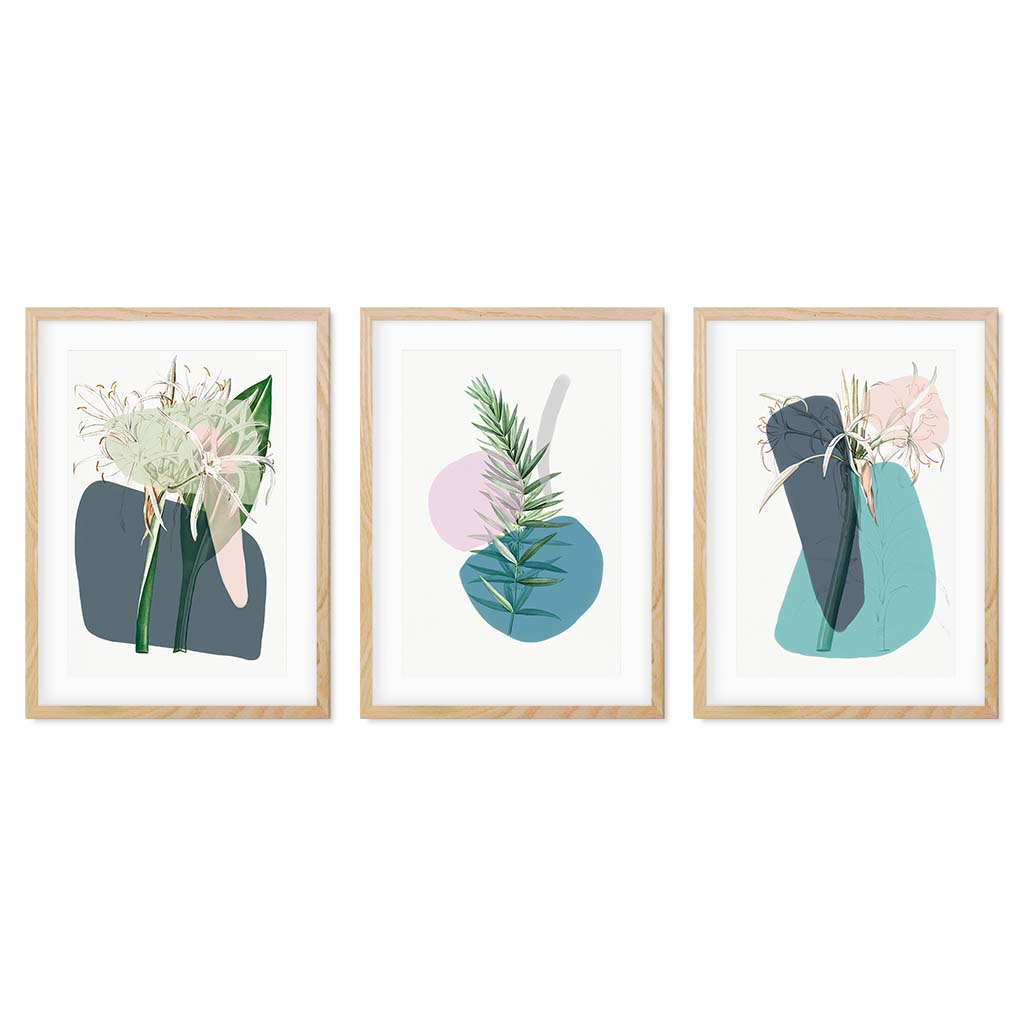 Modern Botanical Abstracts - Set Of 3 Prints