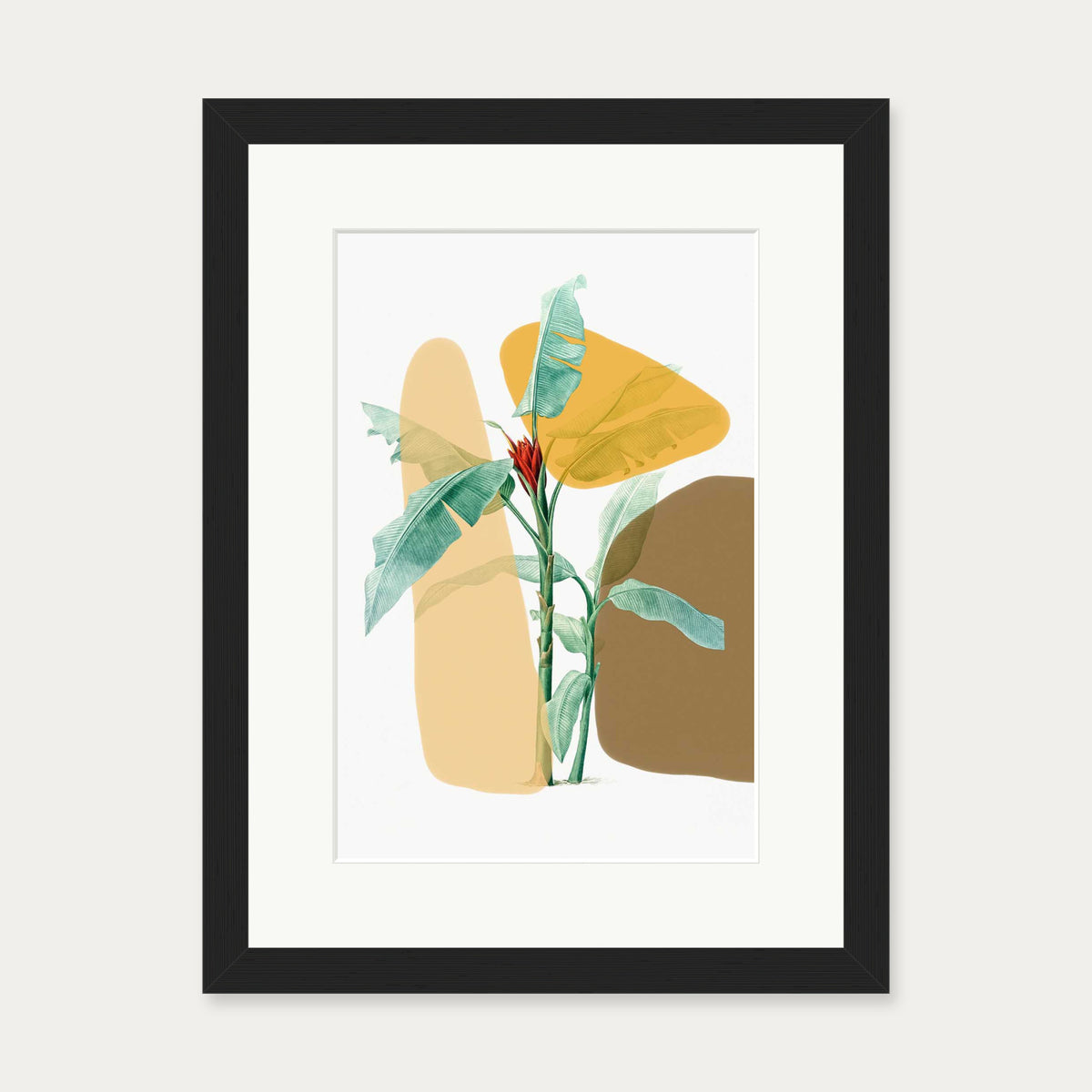Modern Botanical Illustration Art Print — 30 x 40 cm — Black Frame
