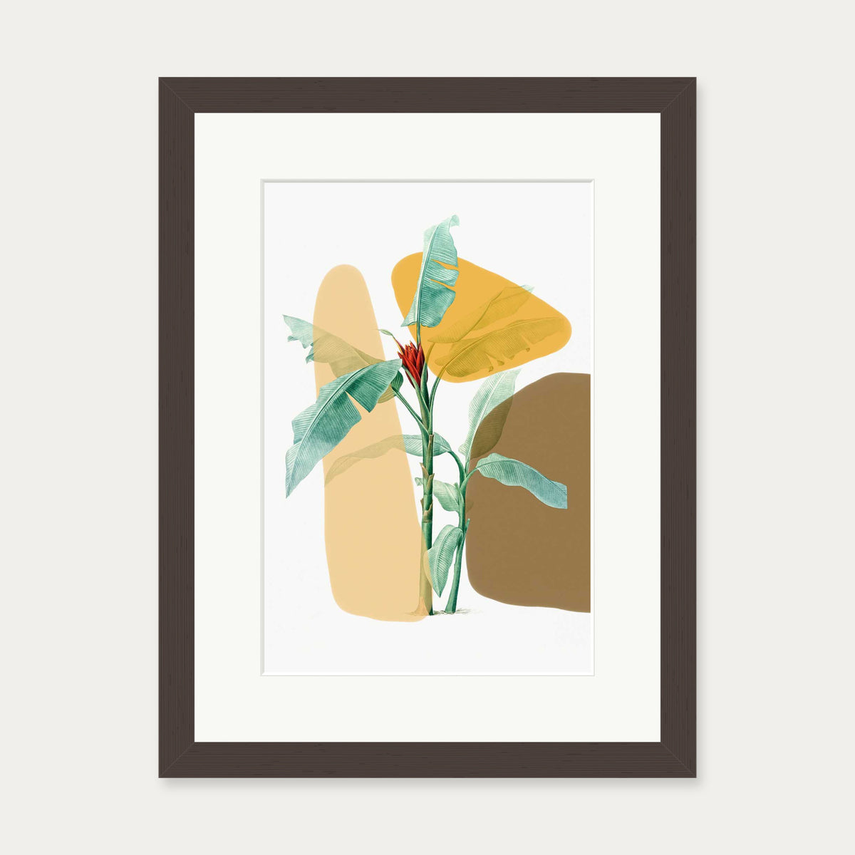 Modern Botanical Illustration Art Print — 30 x 40 cm — Brown Frame