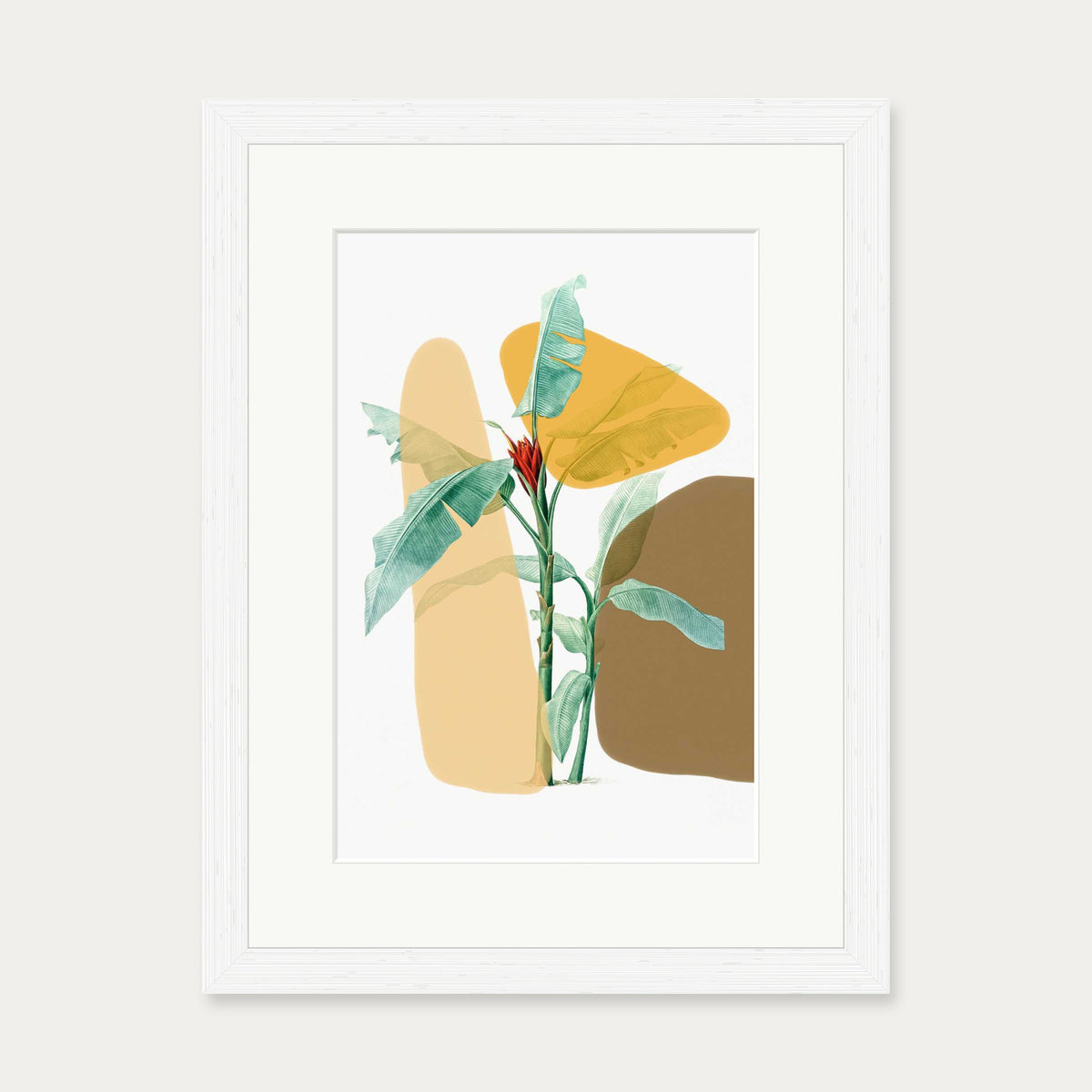 Modern Botanical Illustration Art Print — 30 x 40 cm — White Frame