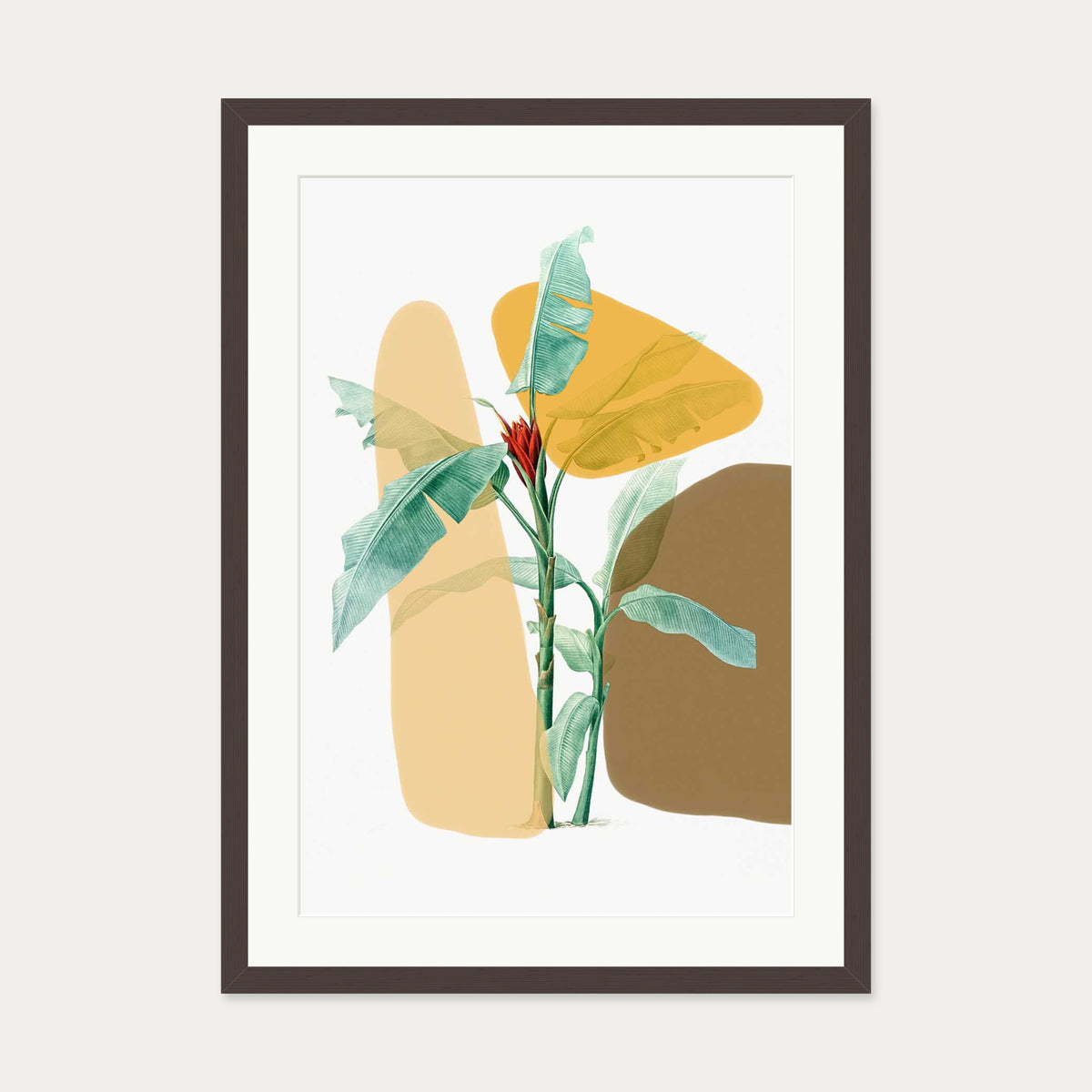 Modern Botanical Illustration Art Print — 50 x 70 cm — Brown Frame