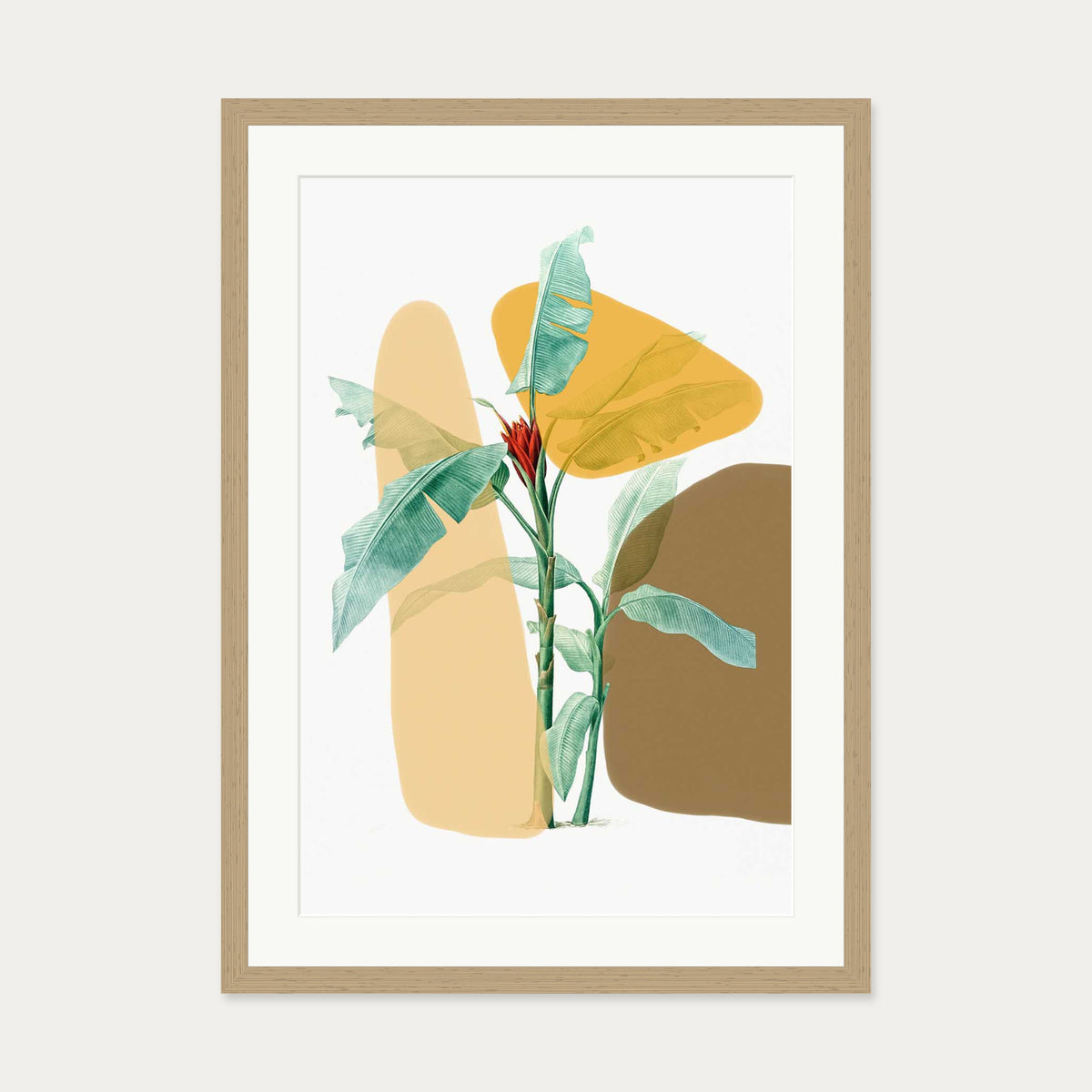Modern Botanical Illustration Art Print — 50 x 70 cm — Oak Frame