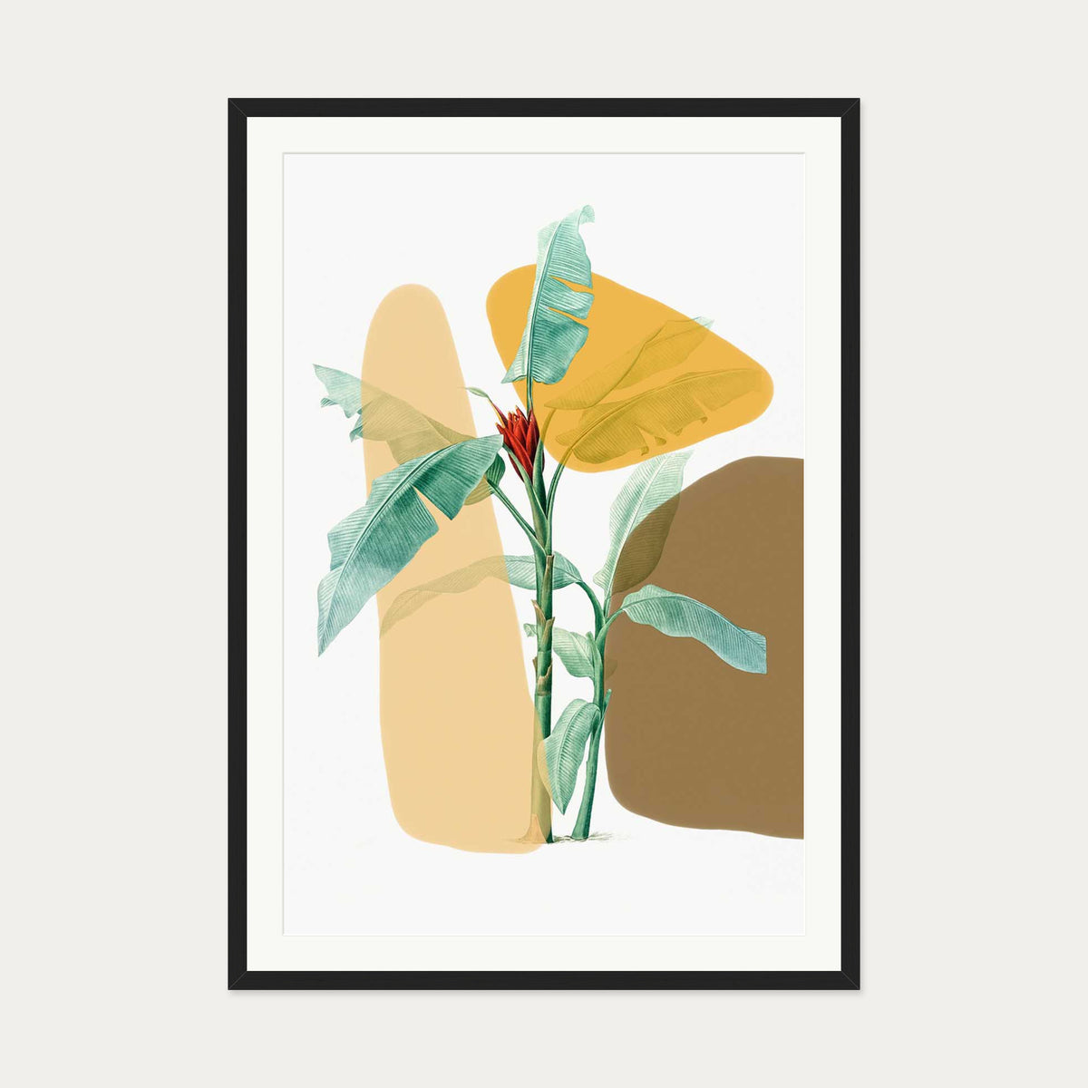 Modern Botanical Illustration Art Print — 70 x 100 cm — Black Frame