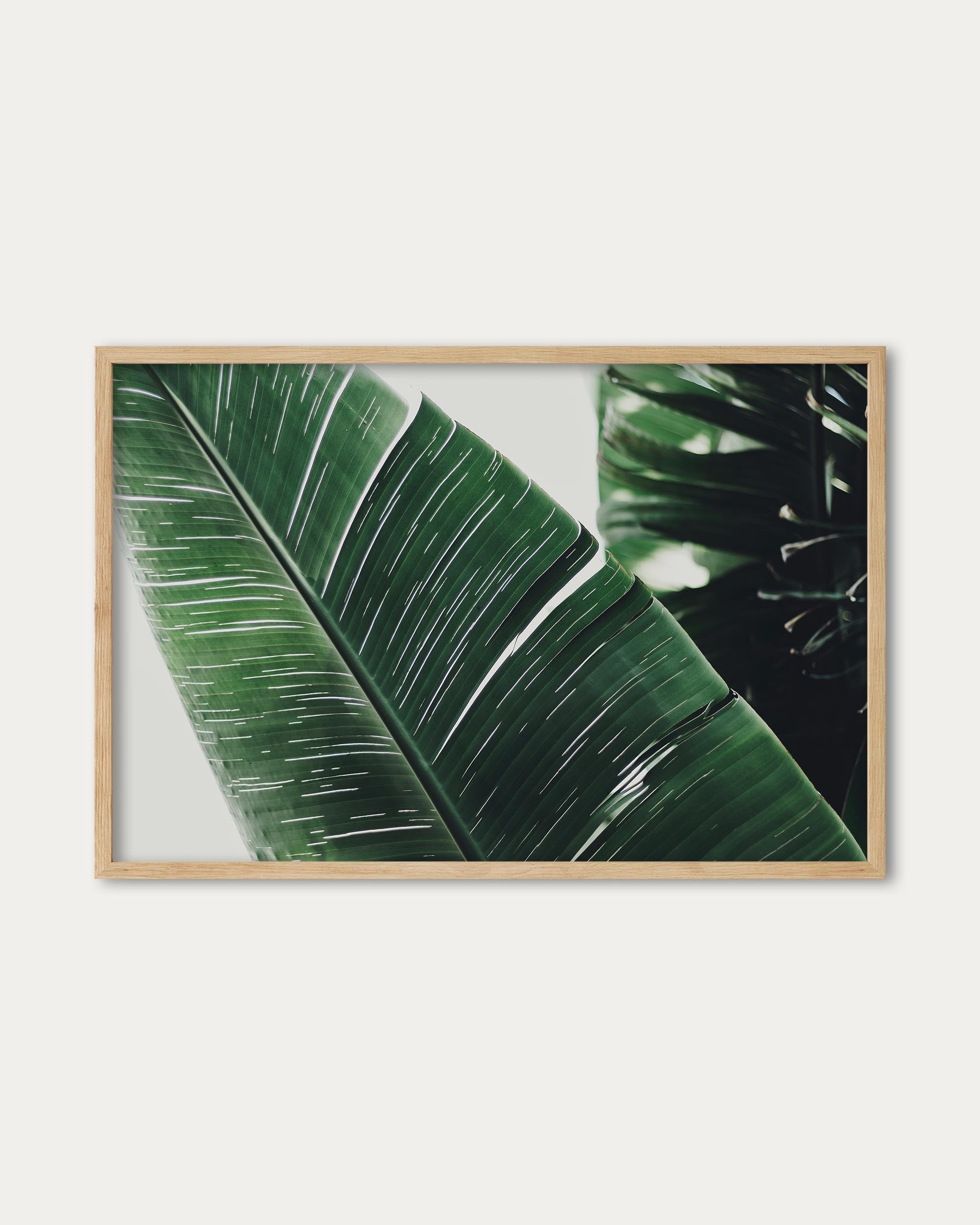 Botanical Leaf Poster