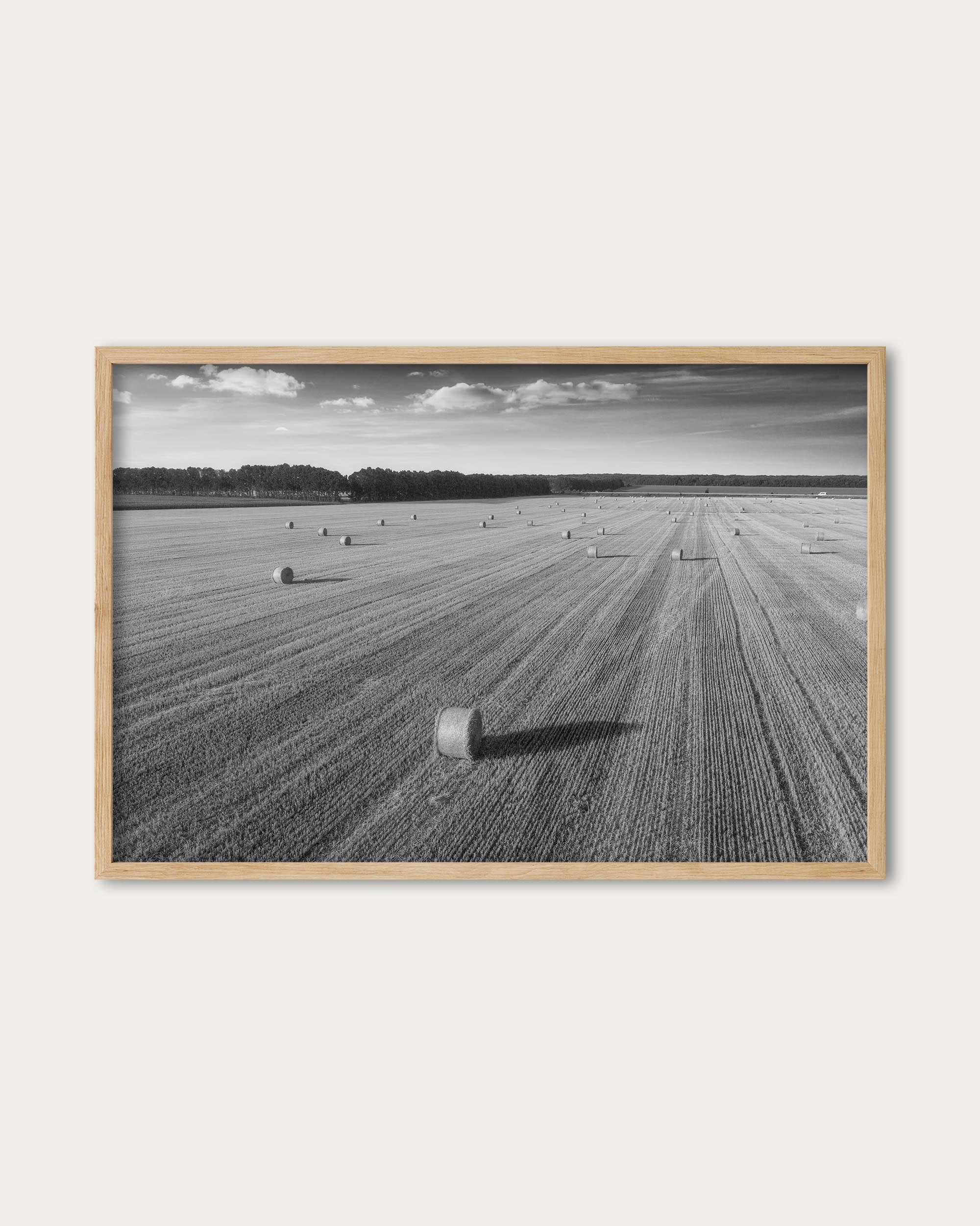 Hay Black And White Wall Art Print