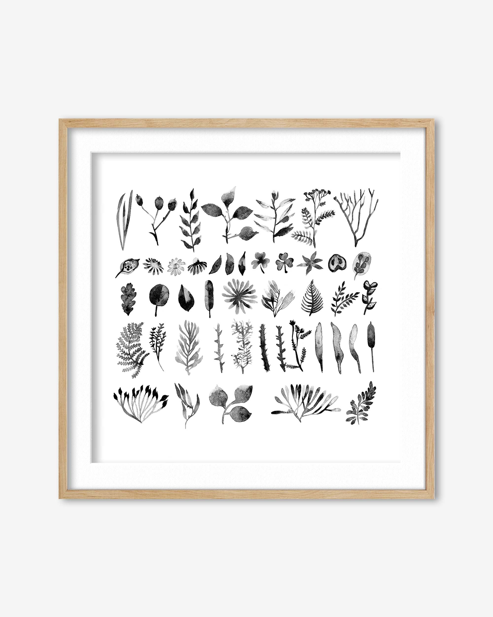Black And White Watercolour Leaves Art Print