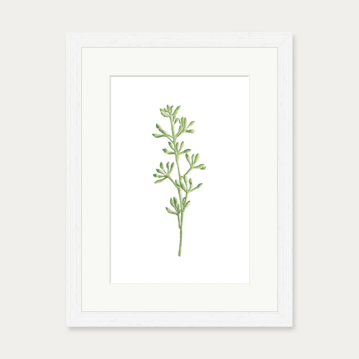 Pale Green Stem Art Print — 30 x 40 cm — White Frame