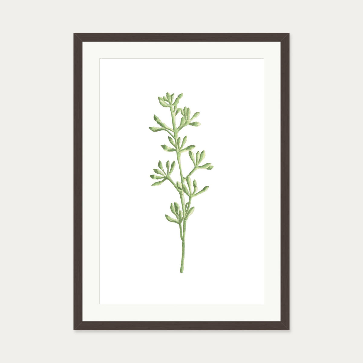Pale Green Stem Art Print — 50 x 70 cm — Brown Frame