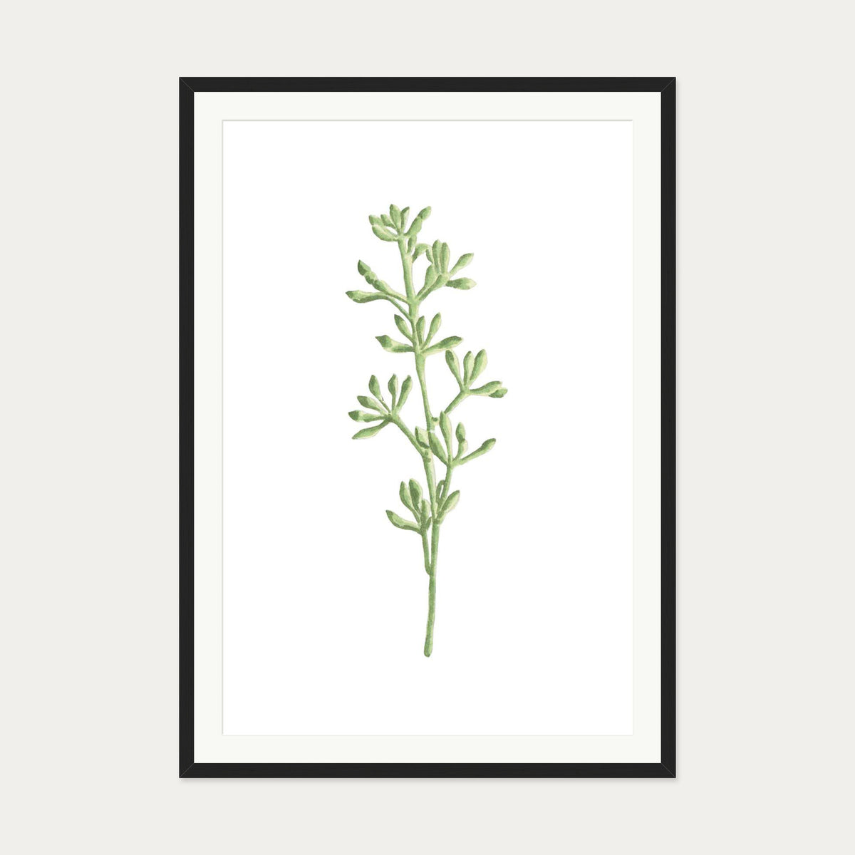 Pale Green Stem Art Print — 70 x 100 cm — Black Frame