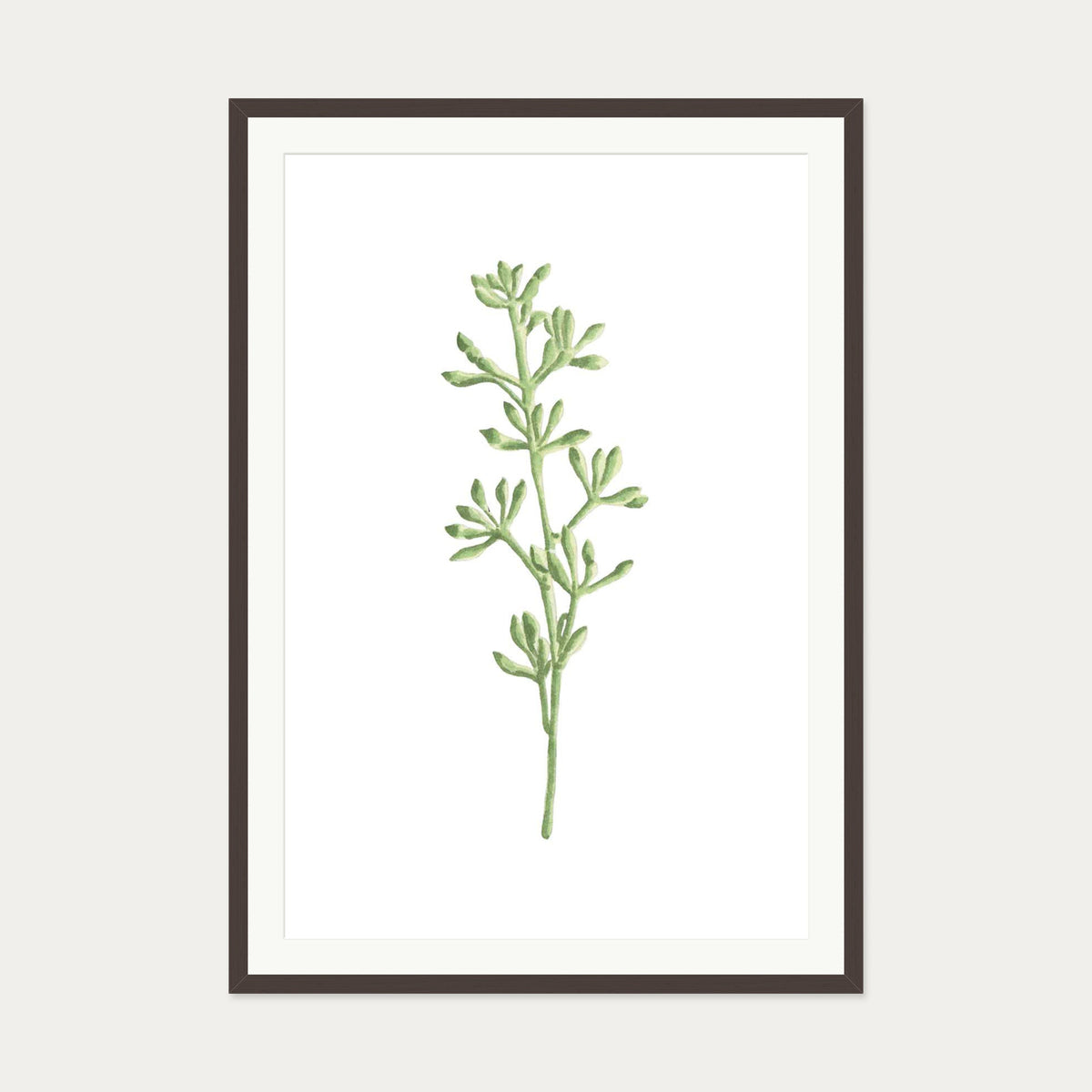 Pale Green Stem Art Print — 70 x 100 cm — Brown Frame