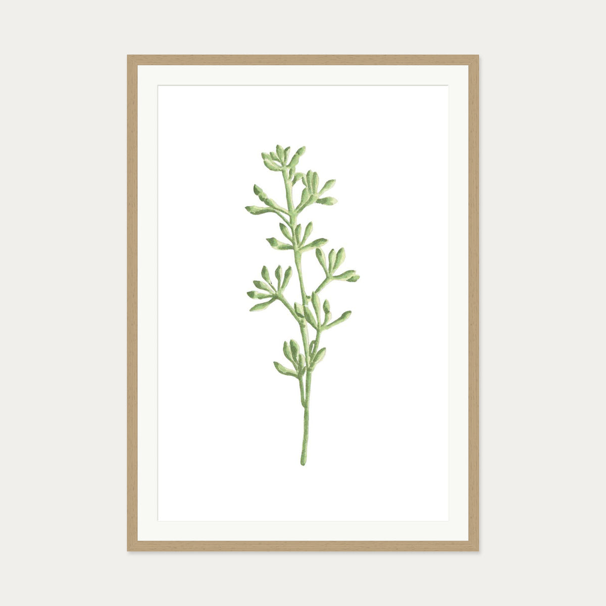 Pale Green Stem Art Print — 70 x 100 cm — Oak Frame