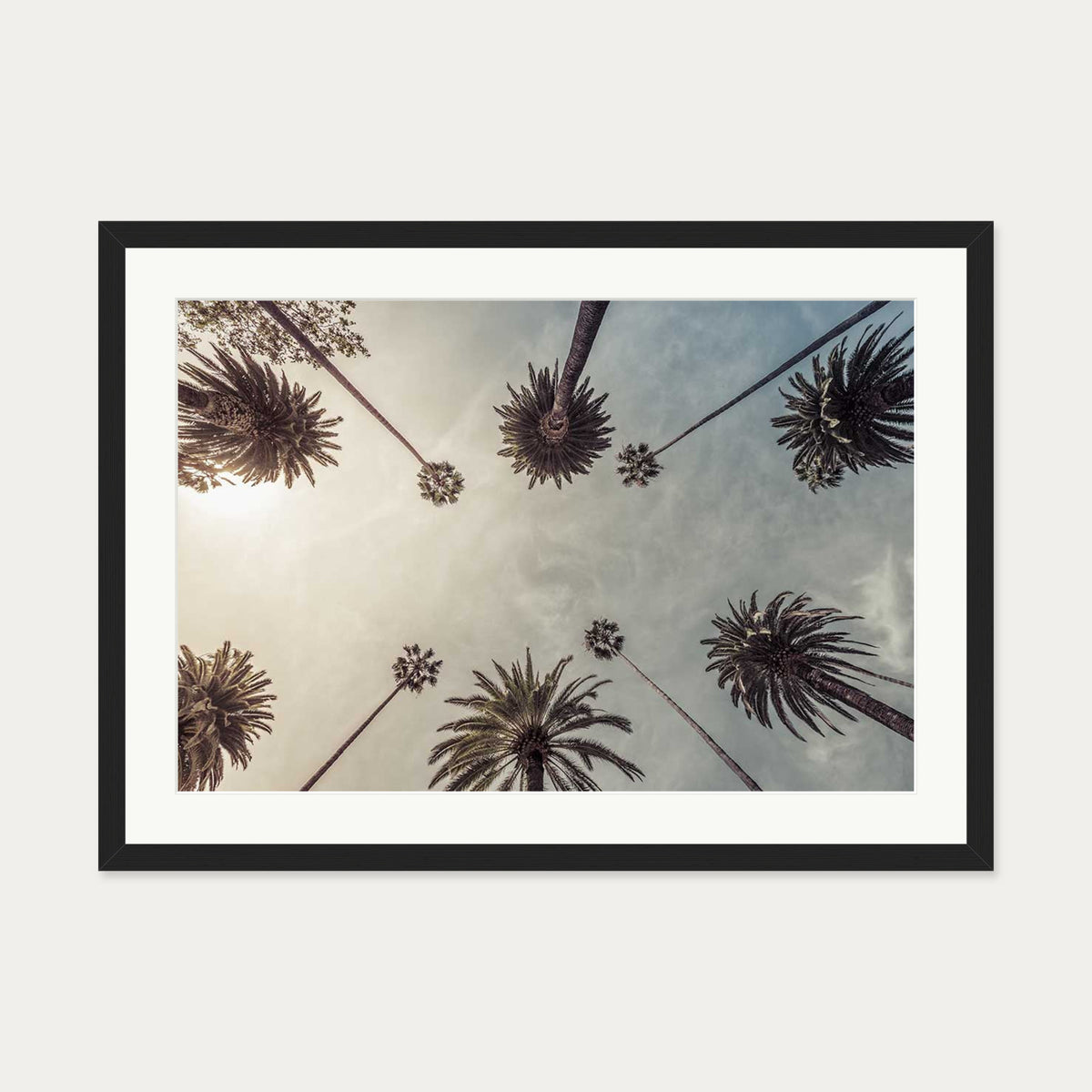 Palm Tree View Wall Art Print — 50 x 70 cm — Black Frame