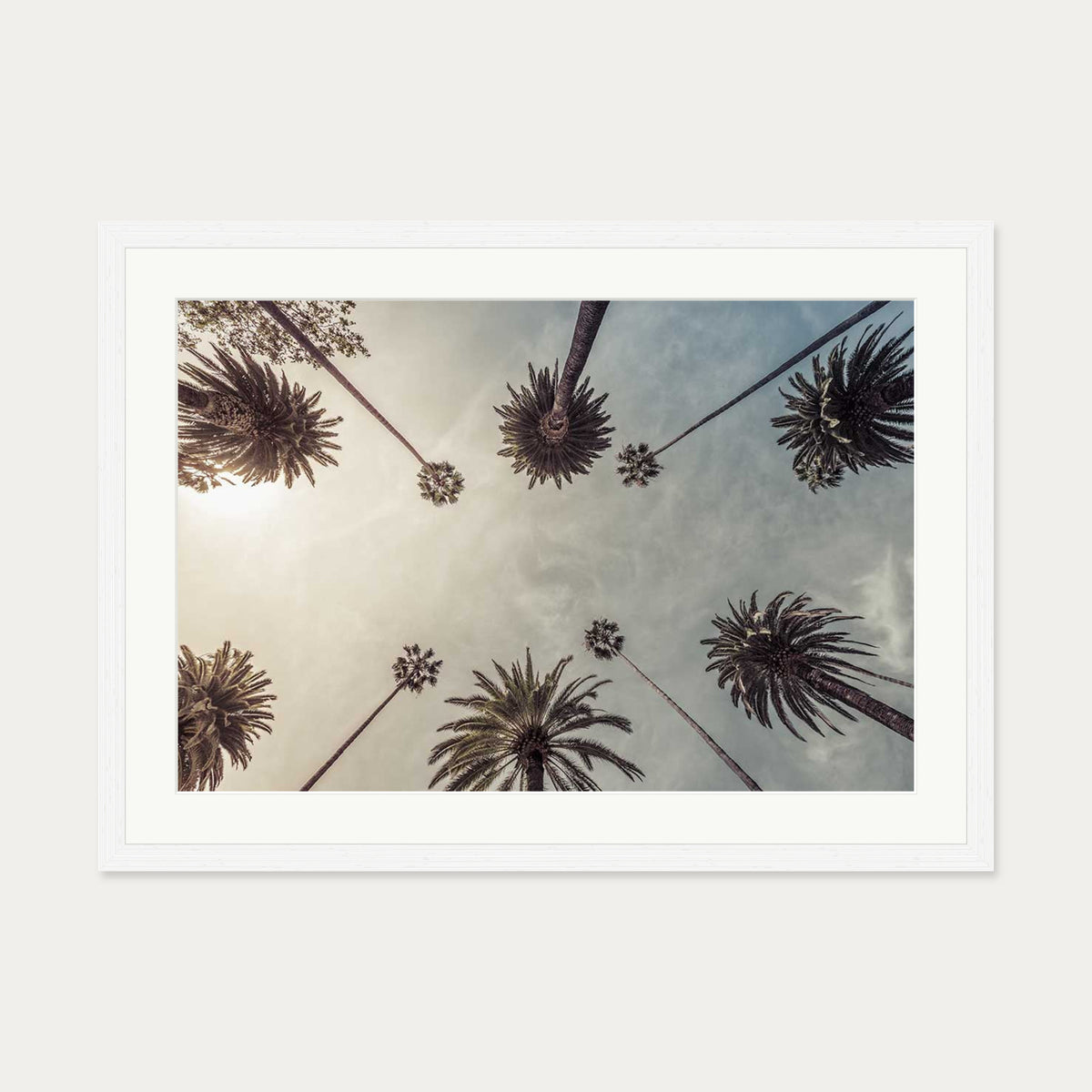 Palm Tree View Wall Art Print — 50 x 70 cm — White Frame