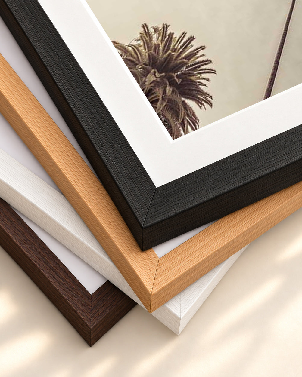 Palm Tree View Wall Art Print — framed print corner with 5 cm mount and bevel