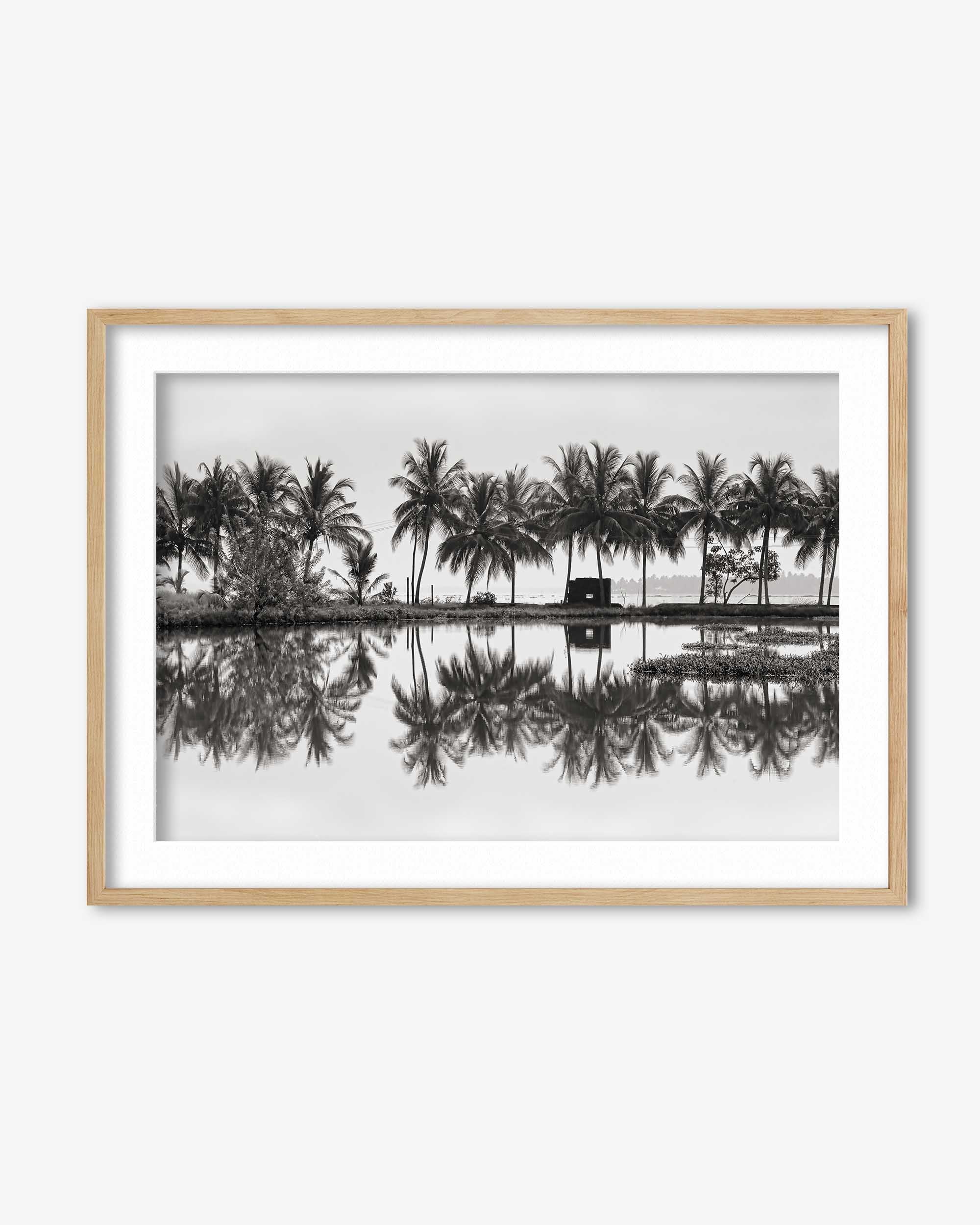 Framed black and white photograph of palm trees reflected in water on a white background