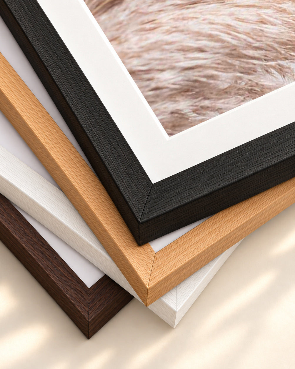 Pampass II Wall Art Print — framed print corner with 5 cm mount and bevel