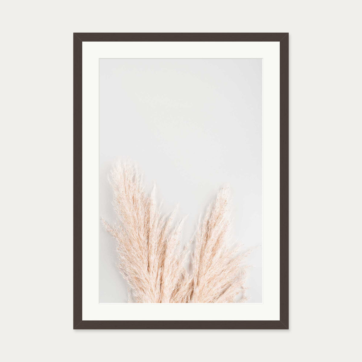 Pampass Wall Art Print — 50 x 70 cm — Brown Frame