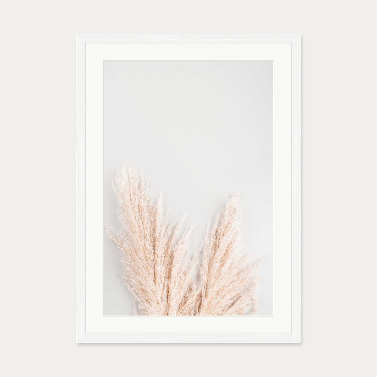 Pampass Wall Art Print — 50 x 70 cm — White Frame