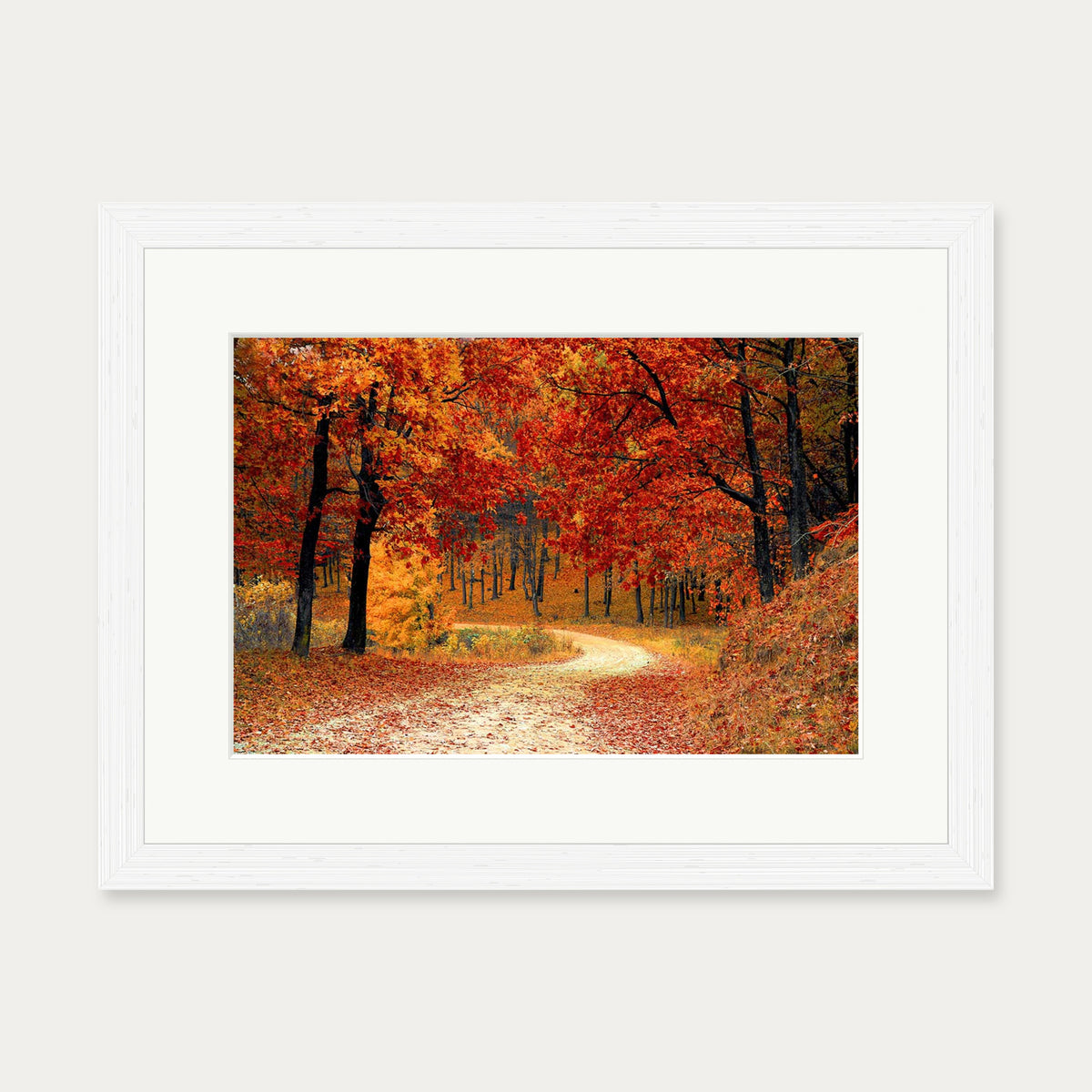 Park In The Autumn Art Print — 30 x 40 cm — White Frame