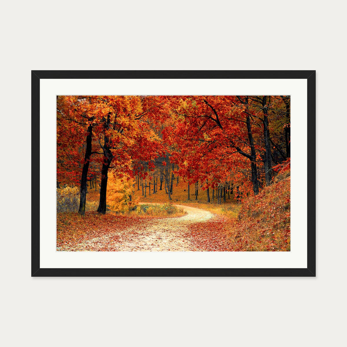 Park In The Autumn Art Print — 50 x 70 cm — Black Frame