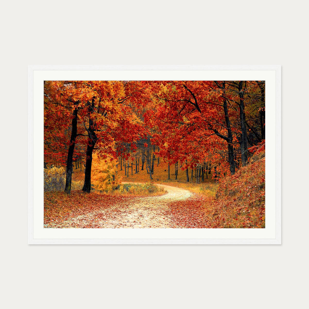 Park In The Autumn Art Print — 70 x 100 cm — White Frame
