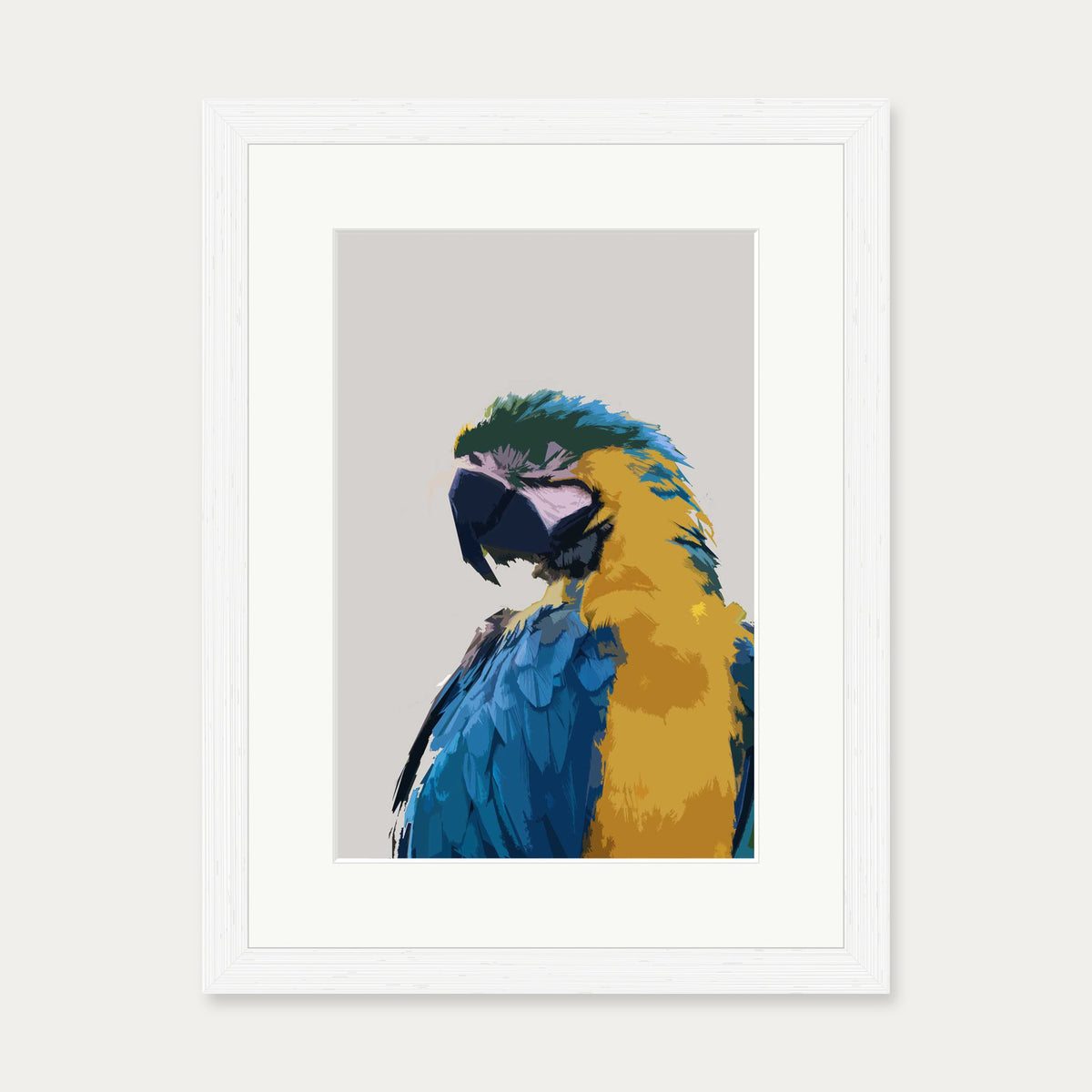 Parrot Illustrated Art Print — 30 x 40 cm — White Frame