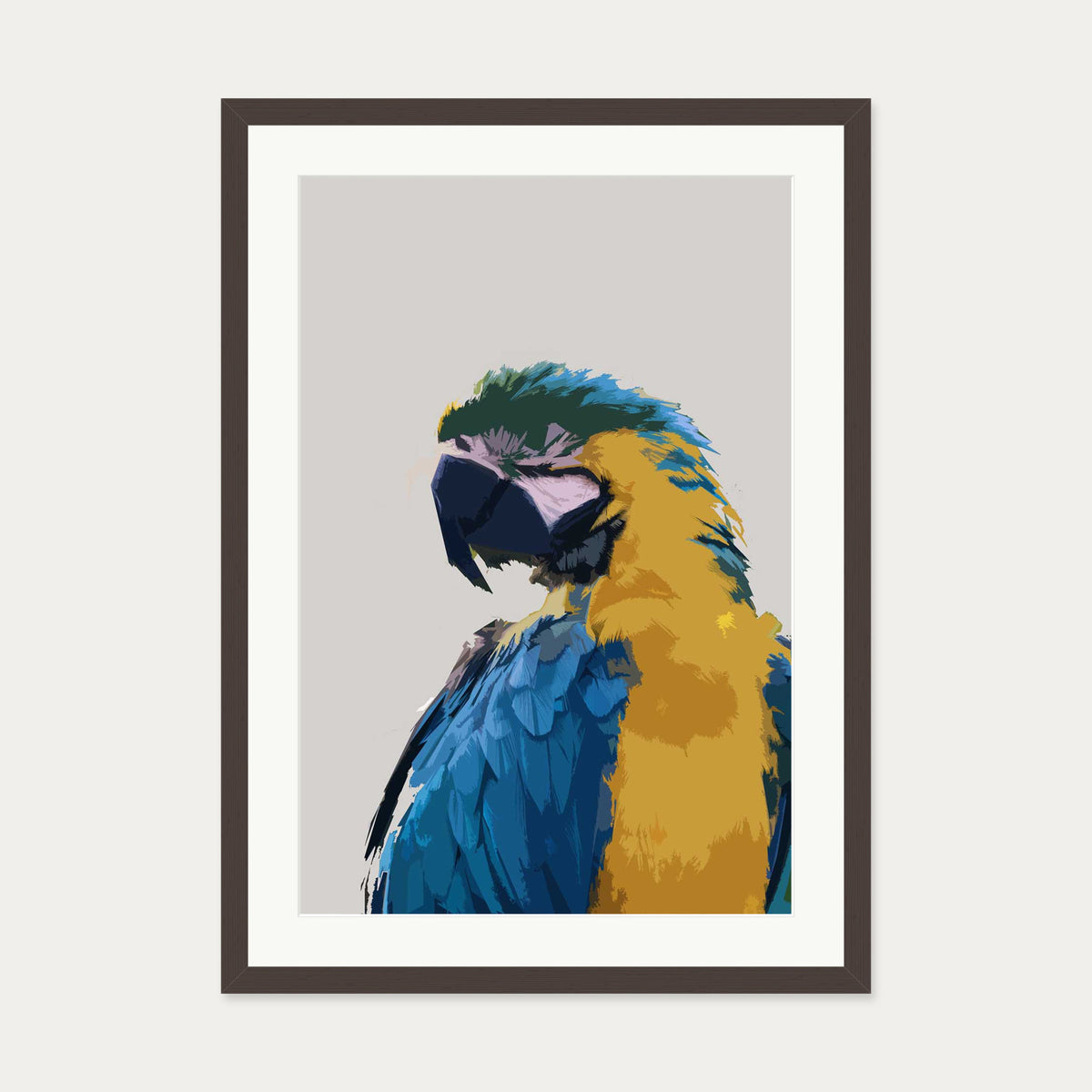 Parrot Illustrated Art Print — 50 x 70 cm — Brown Frame