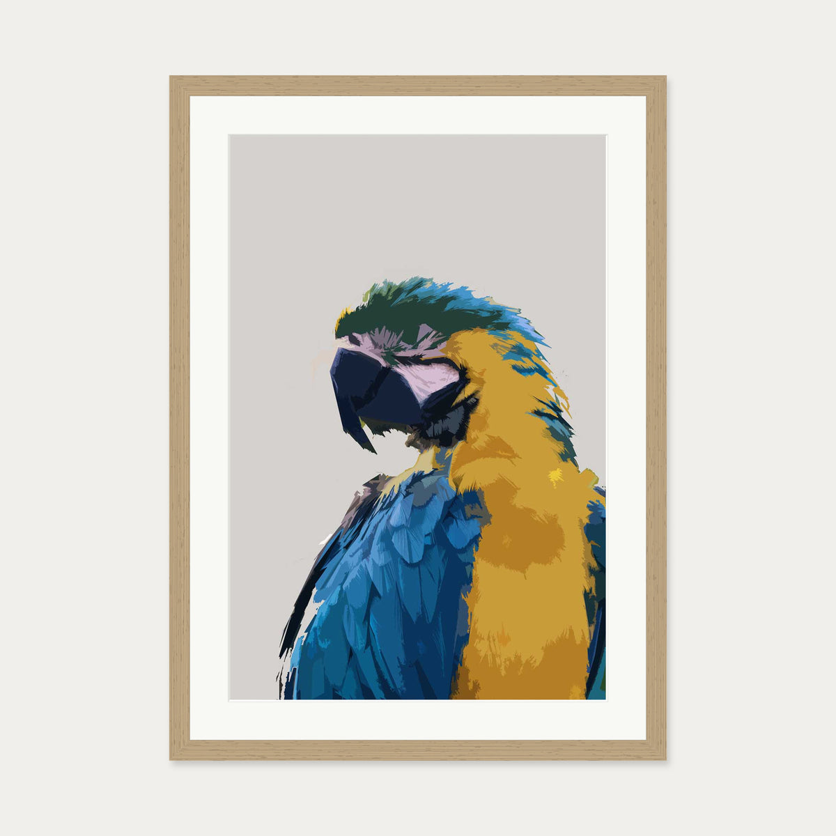 Parrot Illustrated Art Print — 50 x 70 cm — Oak Frame