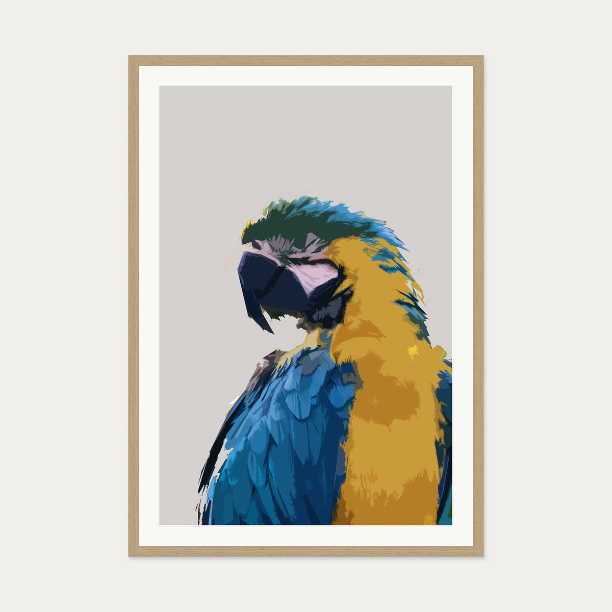 Parrot Illustrated Art Print — 70 x 100 cm — Oak Frame