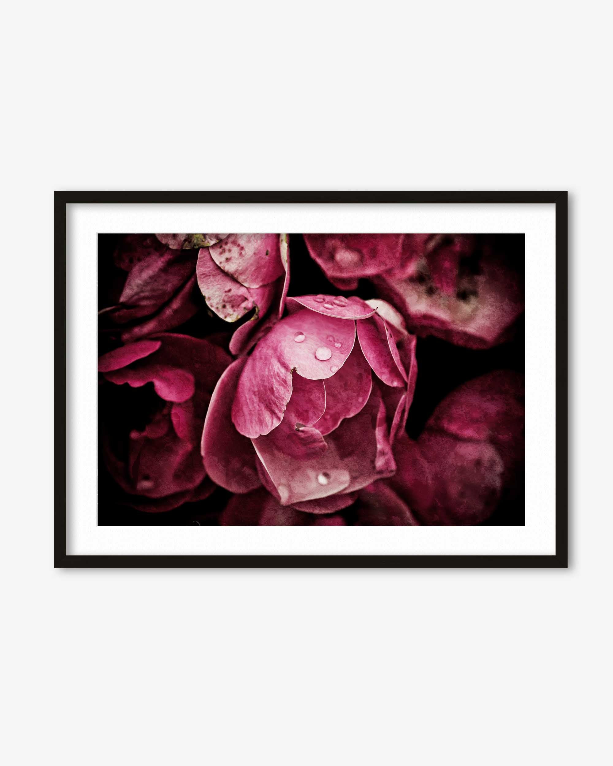 Framed artwork of pink flowers on a white background