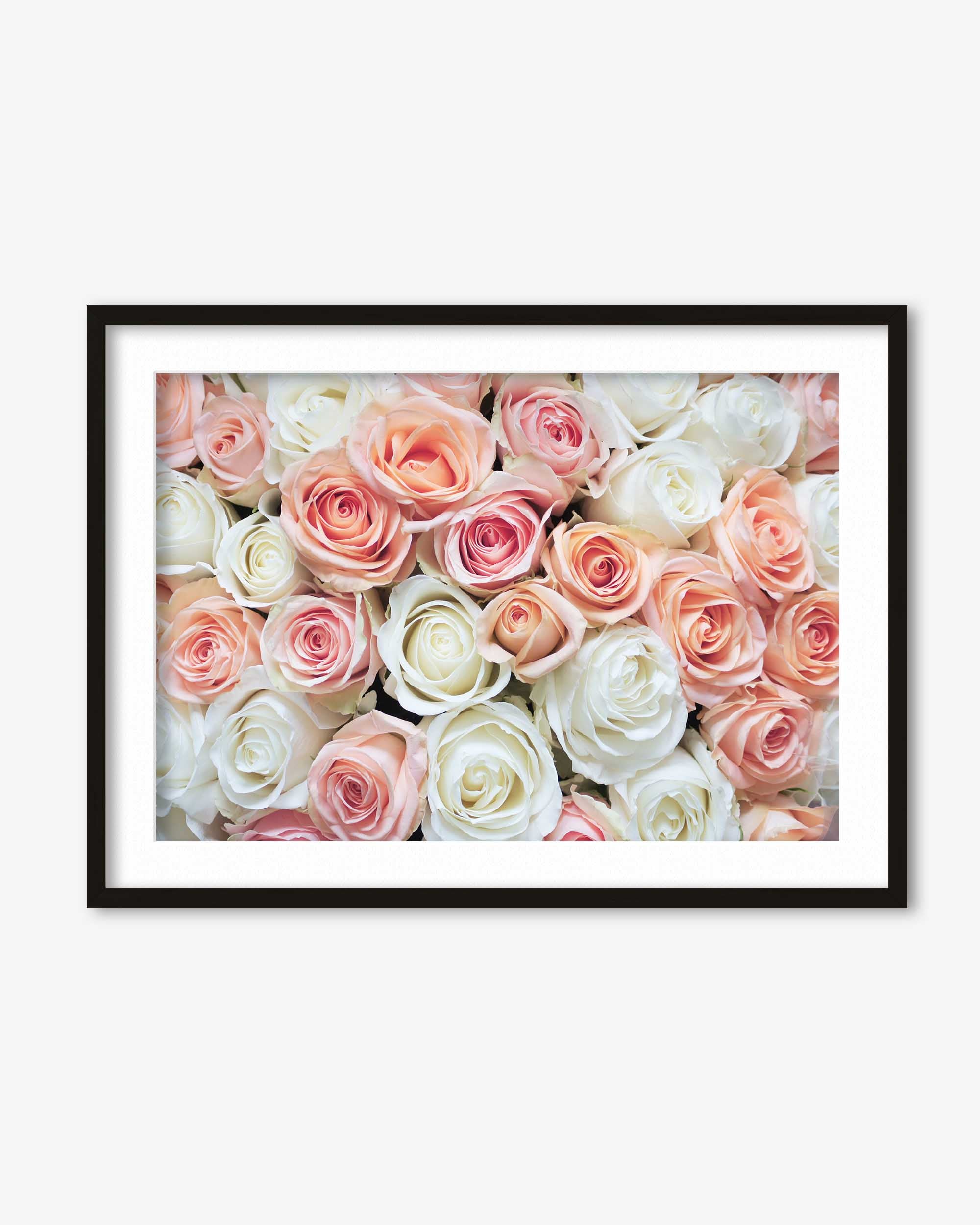 Pink & White Roses Art Print