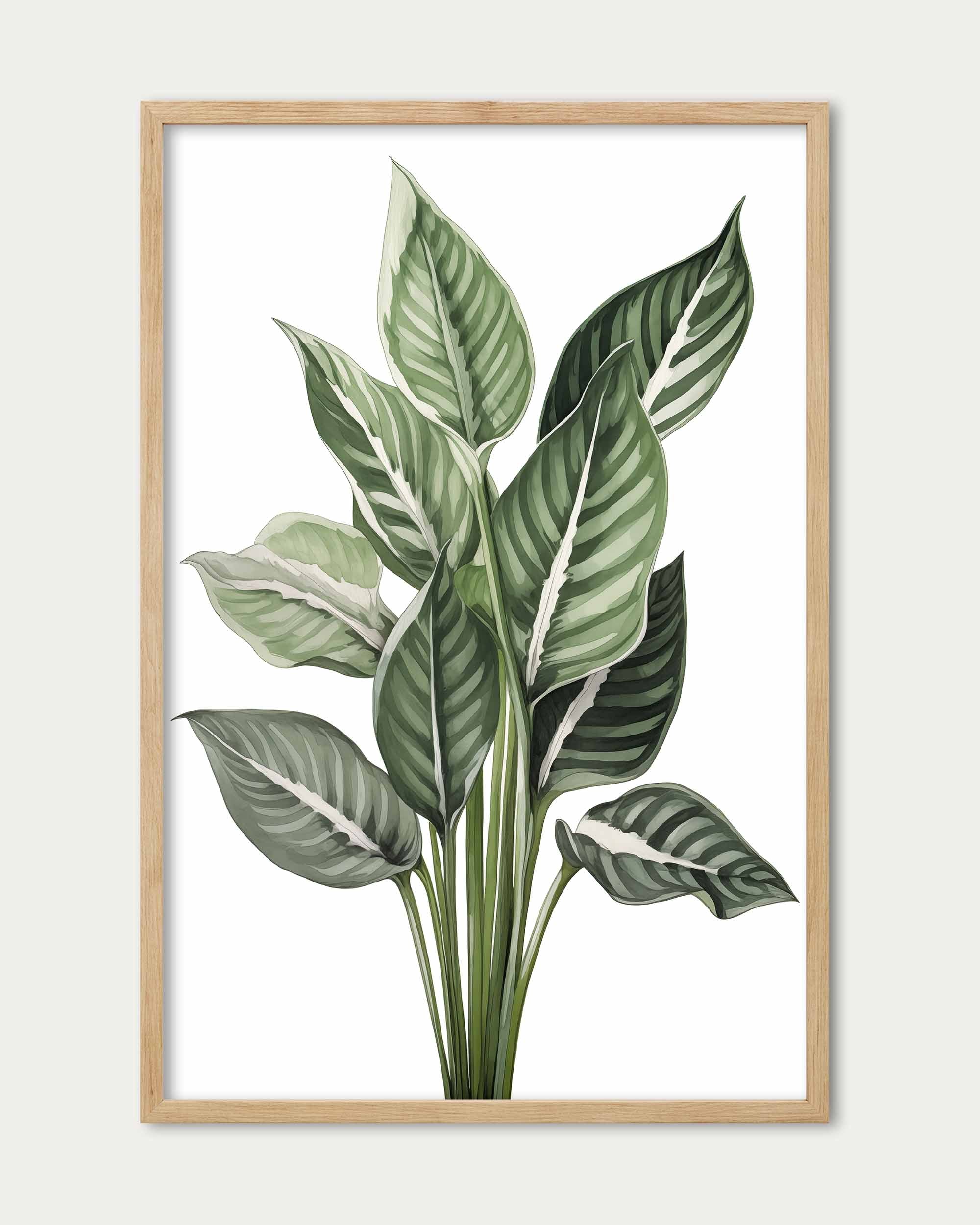 Botanica Wall Art Print