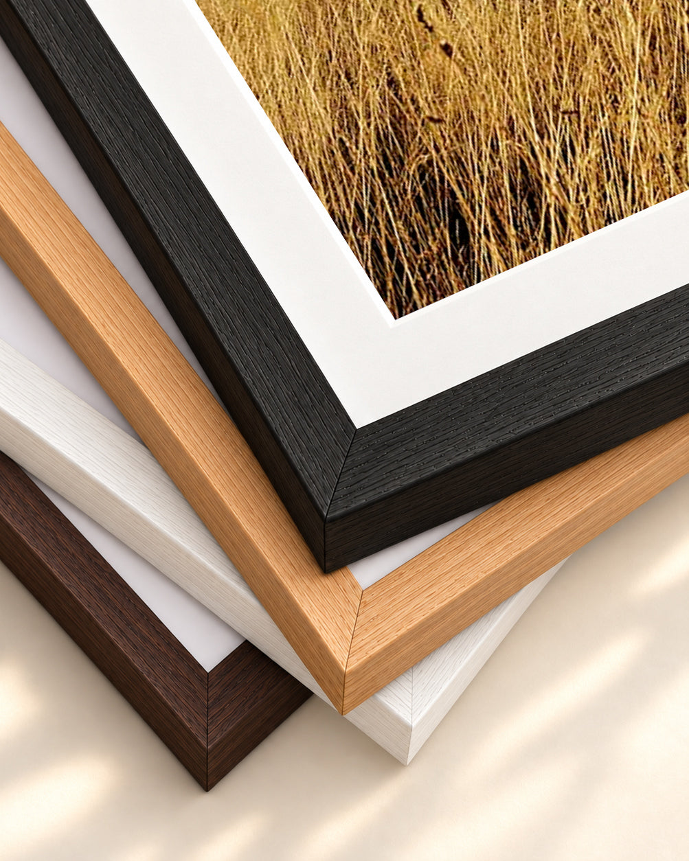 River View Wall Art Print — framed print corner with 5 cm mount and bevel