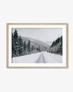 Snowy Forest Art Print