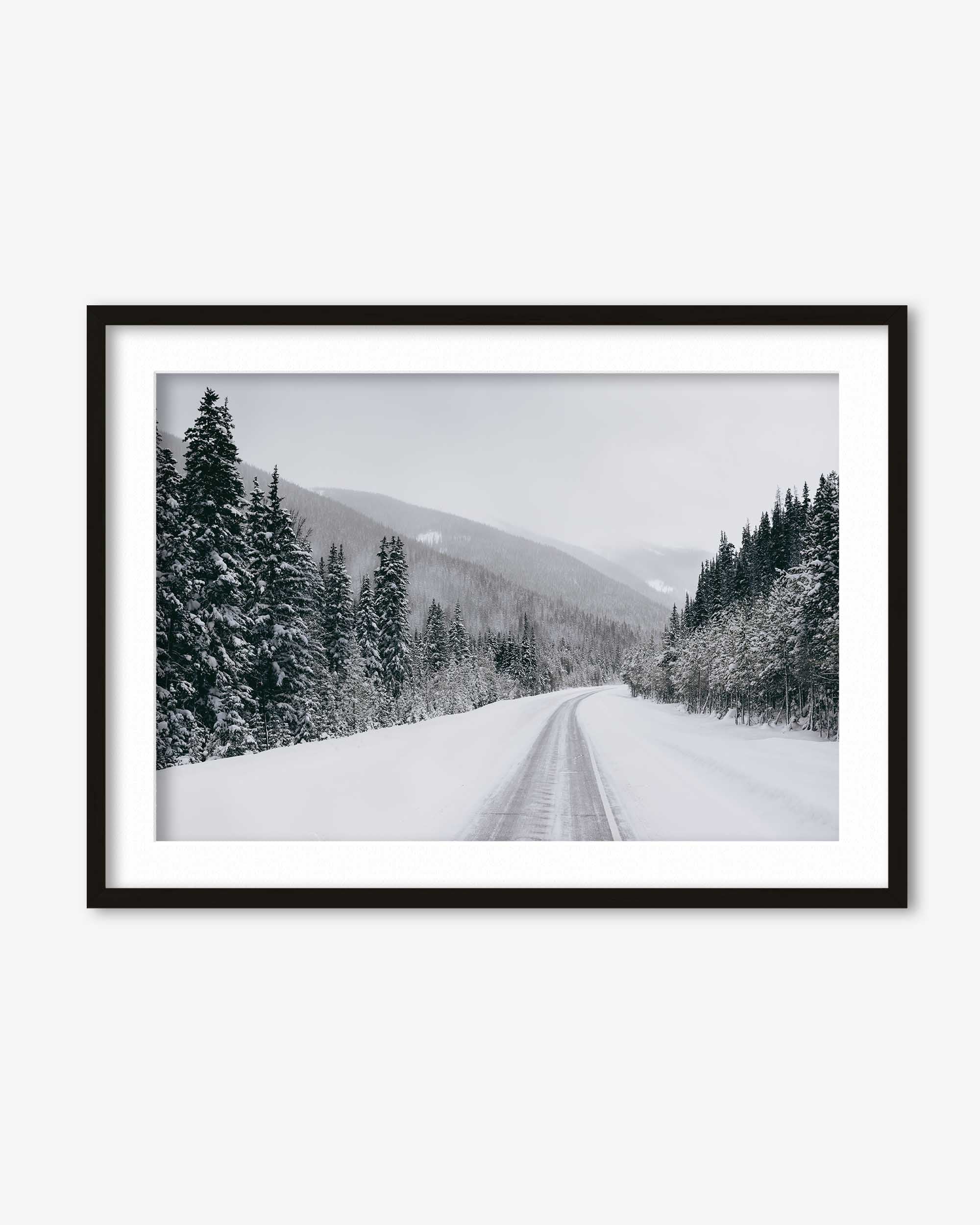 Snowy Forest Art Print