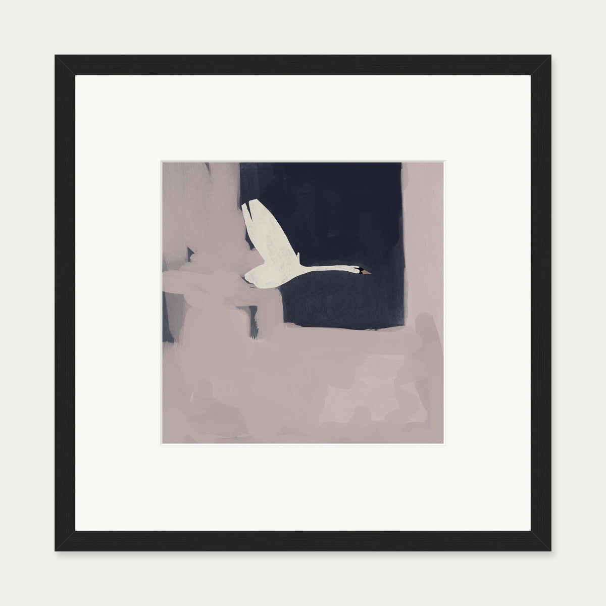Swan In Flight Art Print — 50 x 50 cm — Black Frame