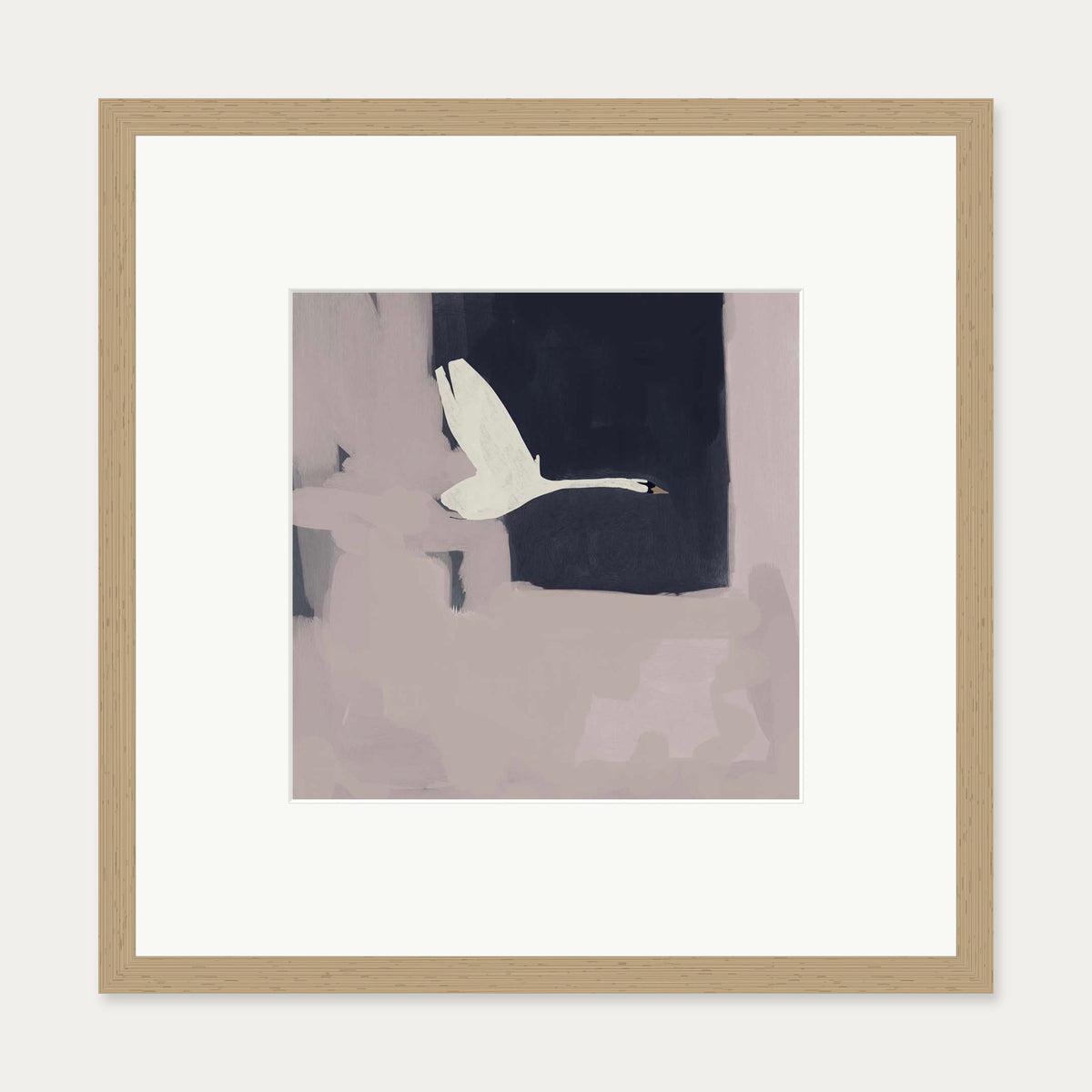 Swan In Flight Art Print — 50 x 50 cm — Oak Frame