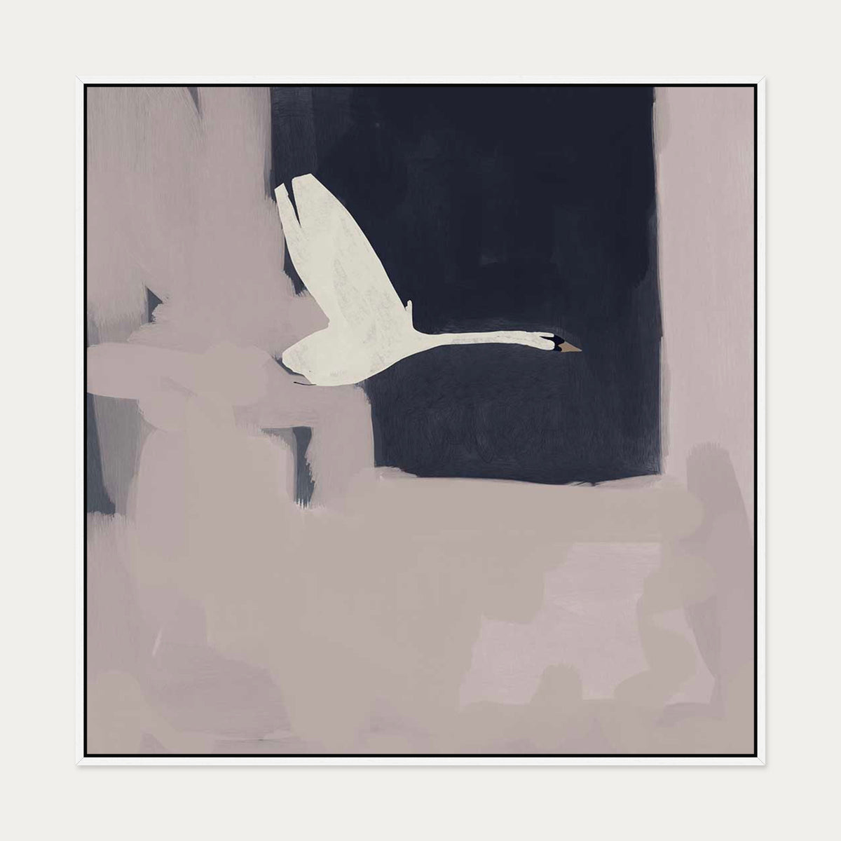 Swan In Flight Canvas Art — 100 x 100 cm — White Frame