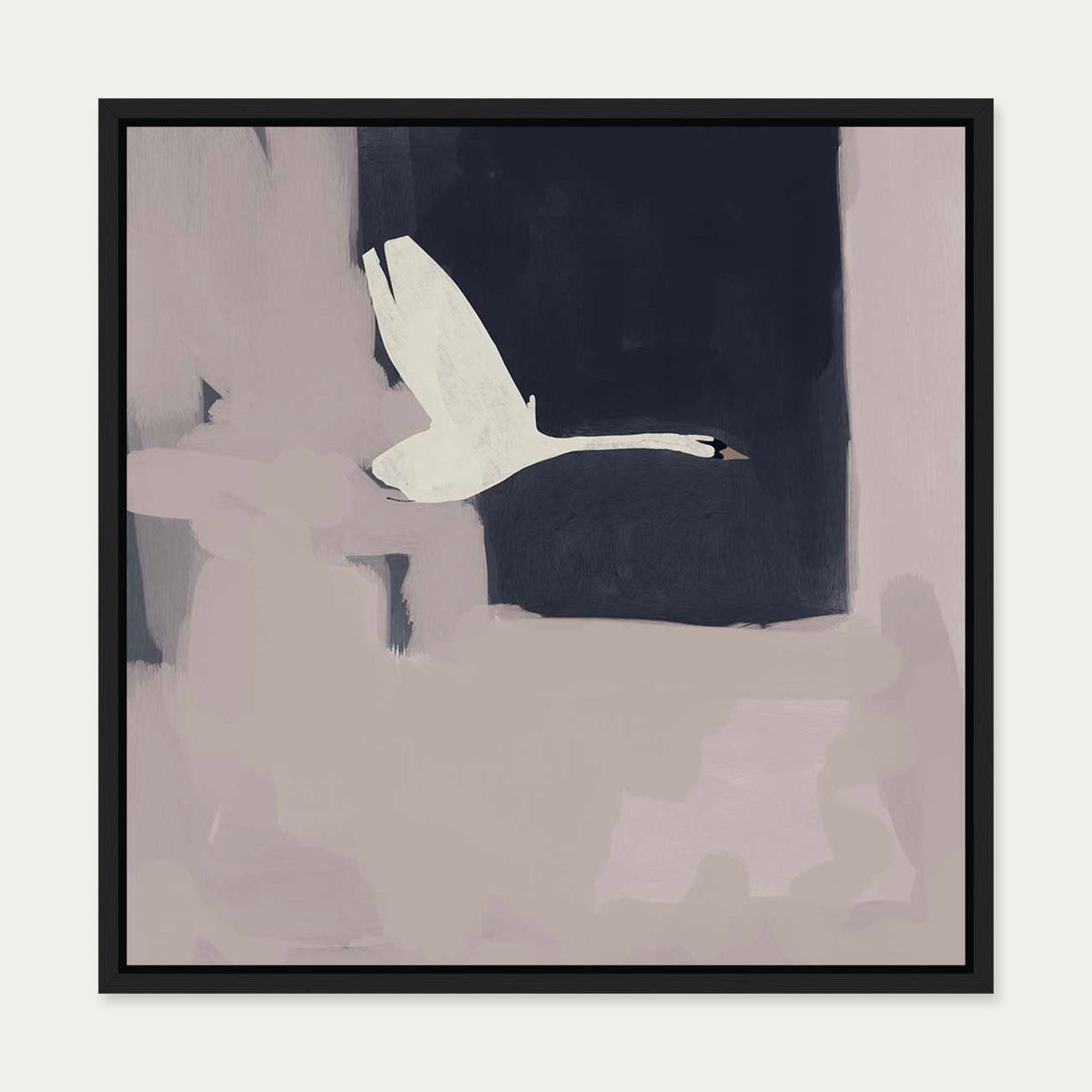 Swan In Flight Canvas Art — 50 x 50 cm — Black Frame
