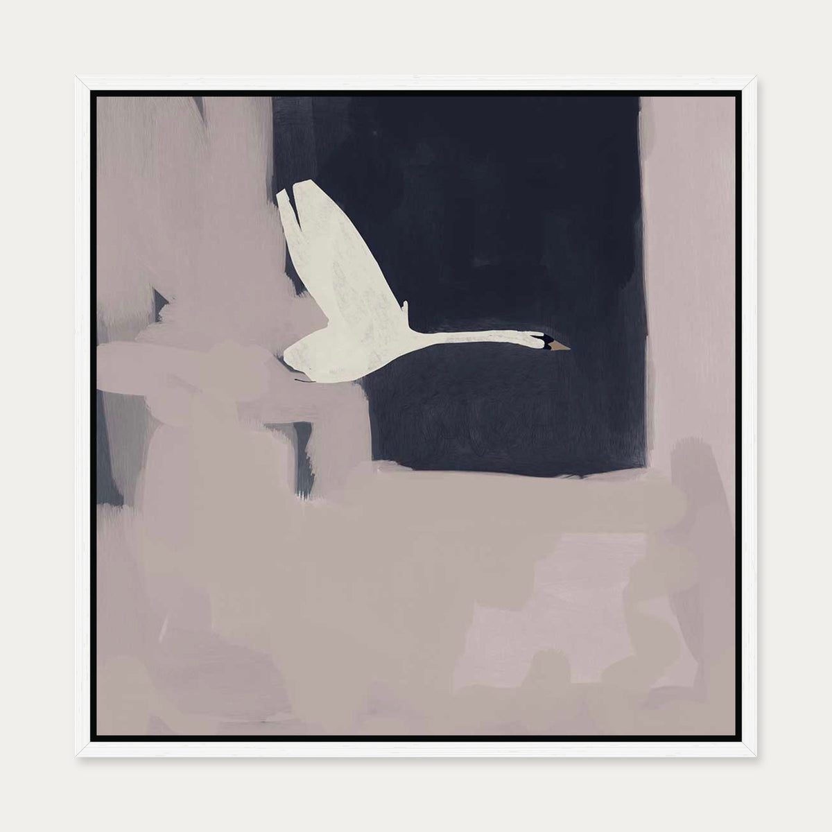 Swan In Flight Canvas Art — 50 x 50 cm — White Frame