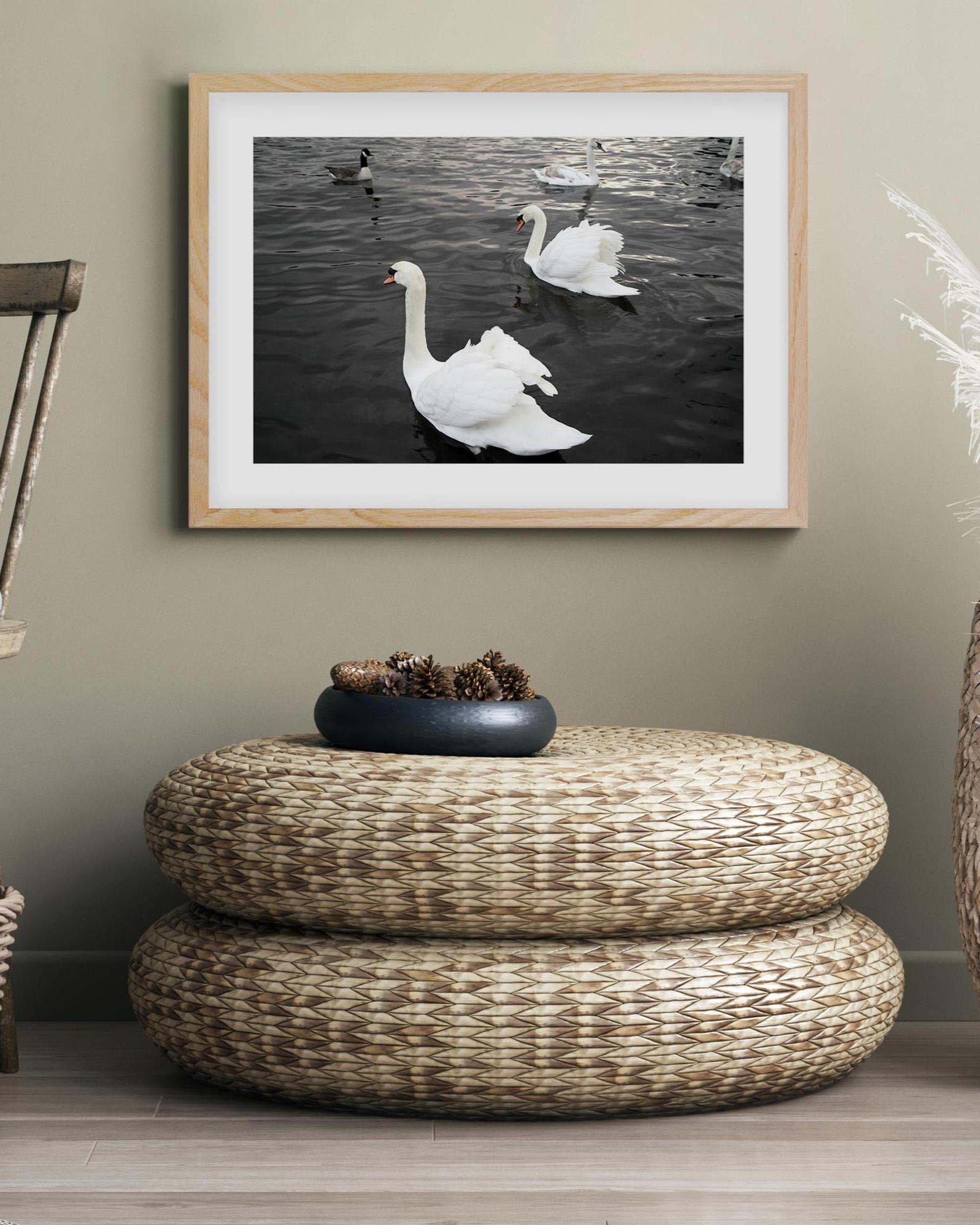 Framed artwork of swans on a wall above a woven ottoman.
