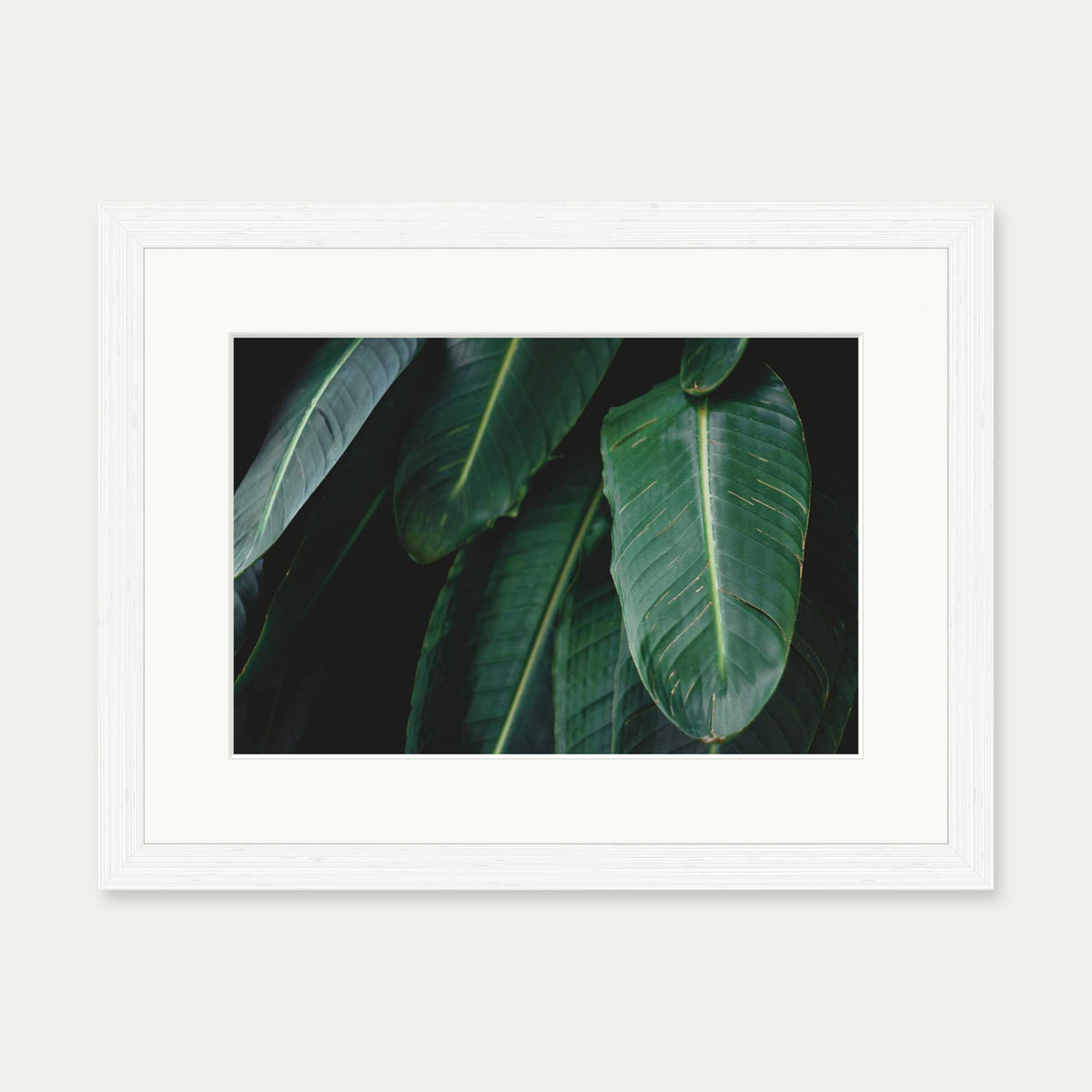 Tropical Forest II Wall Art Print — 30 x 40 cm — White Frame