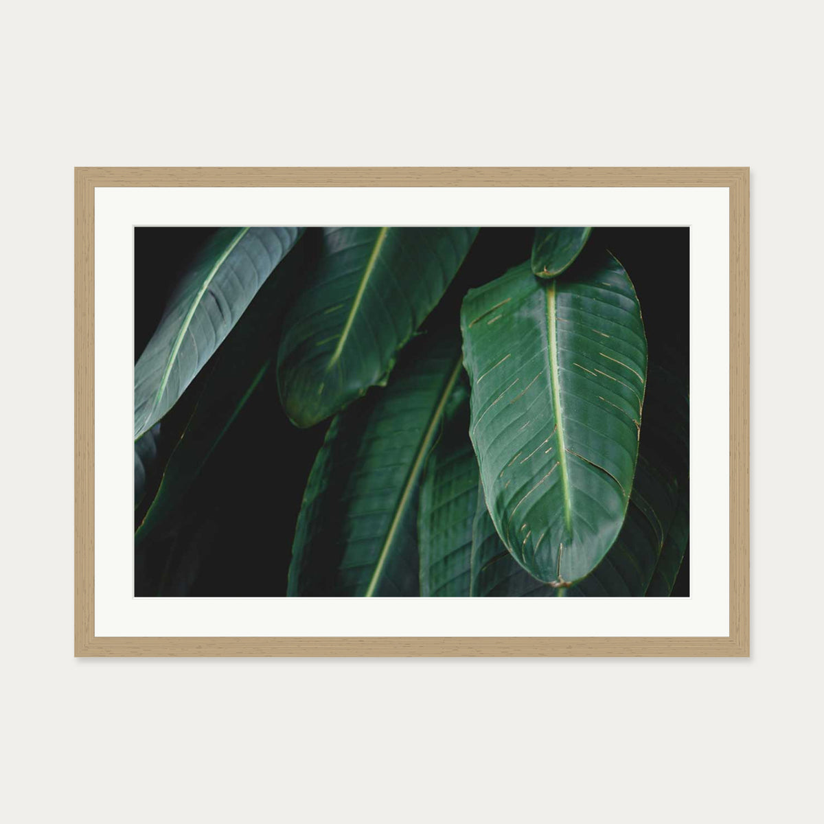 Tropical Forest II Wall Art Print — 50 x 70 cm — Oak Frame