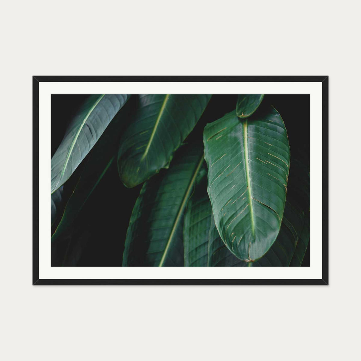 Tropical Forest II Wall Art Print — 70 x 100 cm — Black Frame