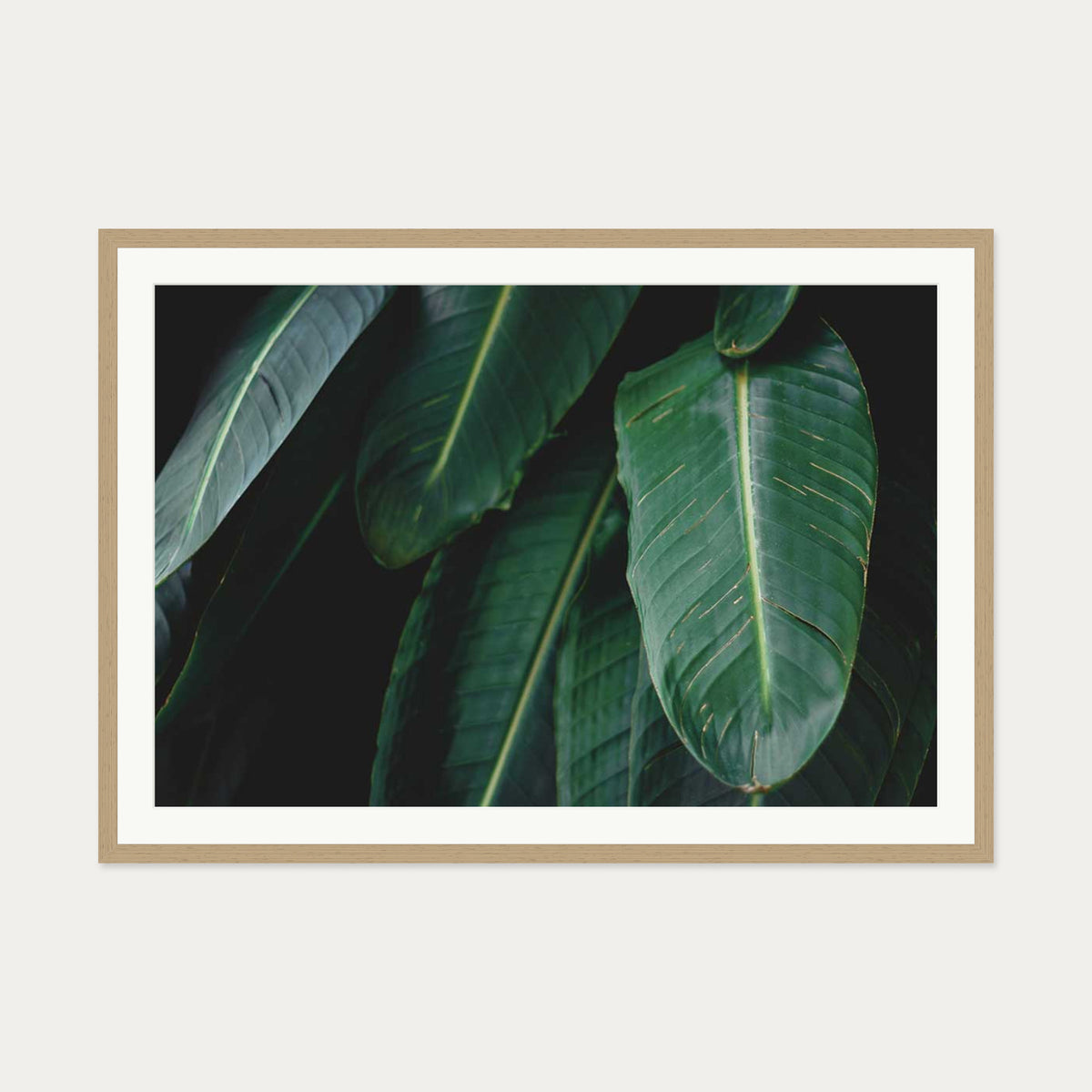 Tropical Forest II Wall Art Print — 70 x 100 cm — Oak Frame