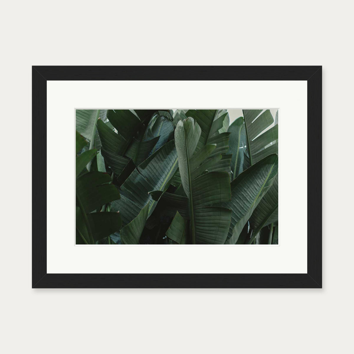 Tropical Forest Wall Art Print — 30 x 40 cm — Black Frame